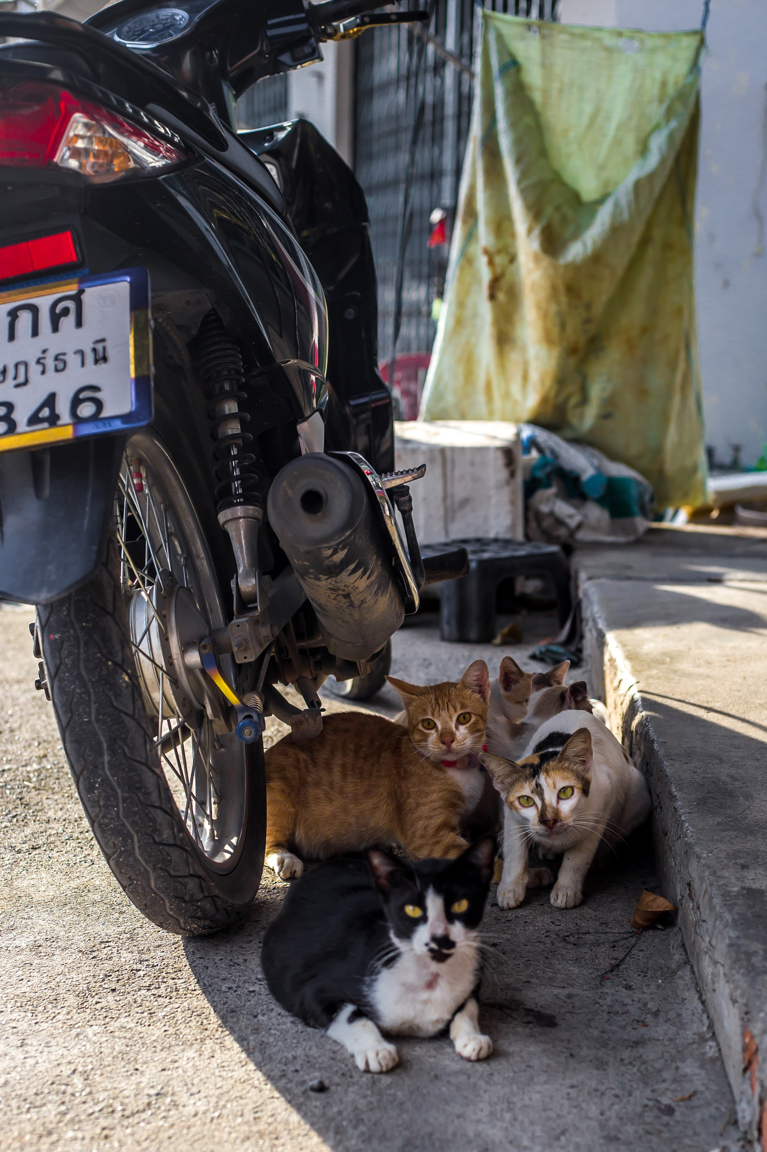 Thailand 2023, Samui. Art Photographer