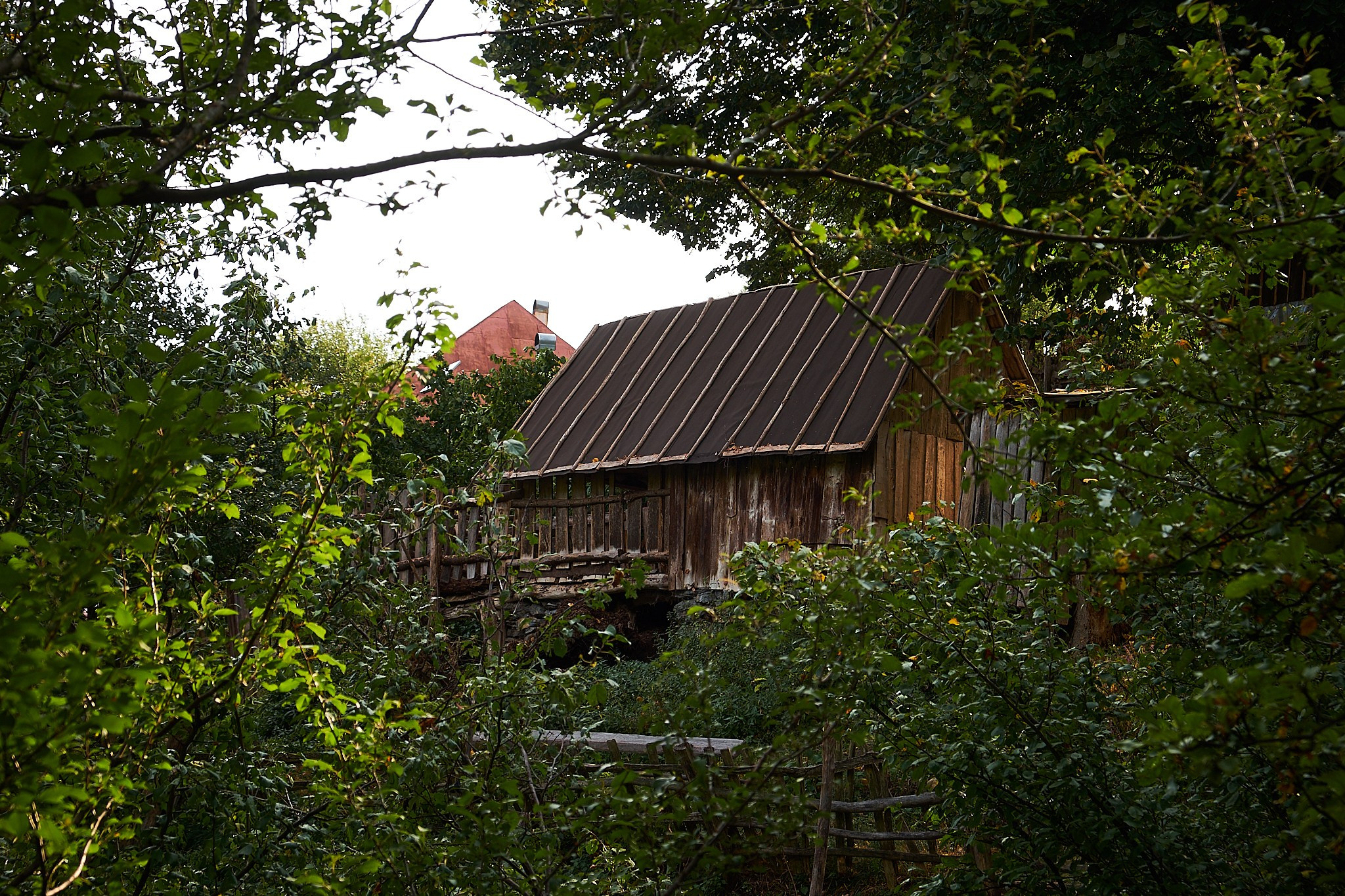 Ineleț, jud. Caraș-Severin. Pagina principală