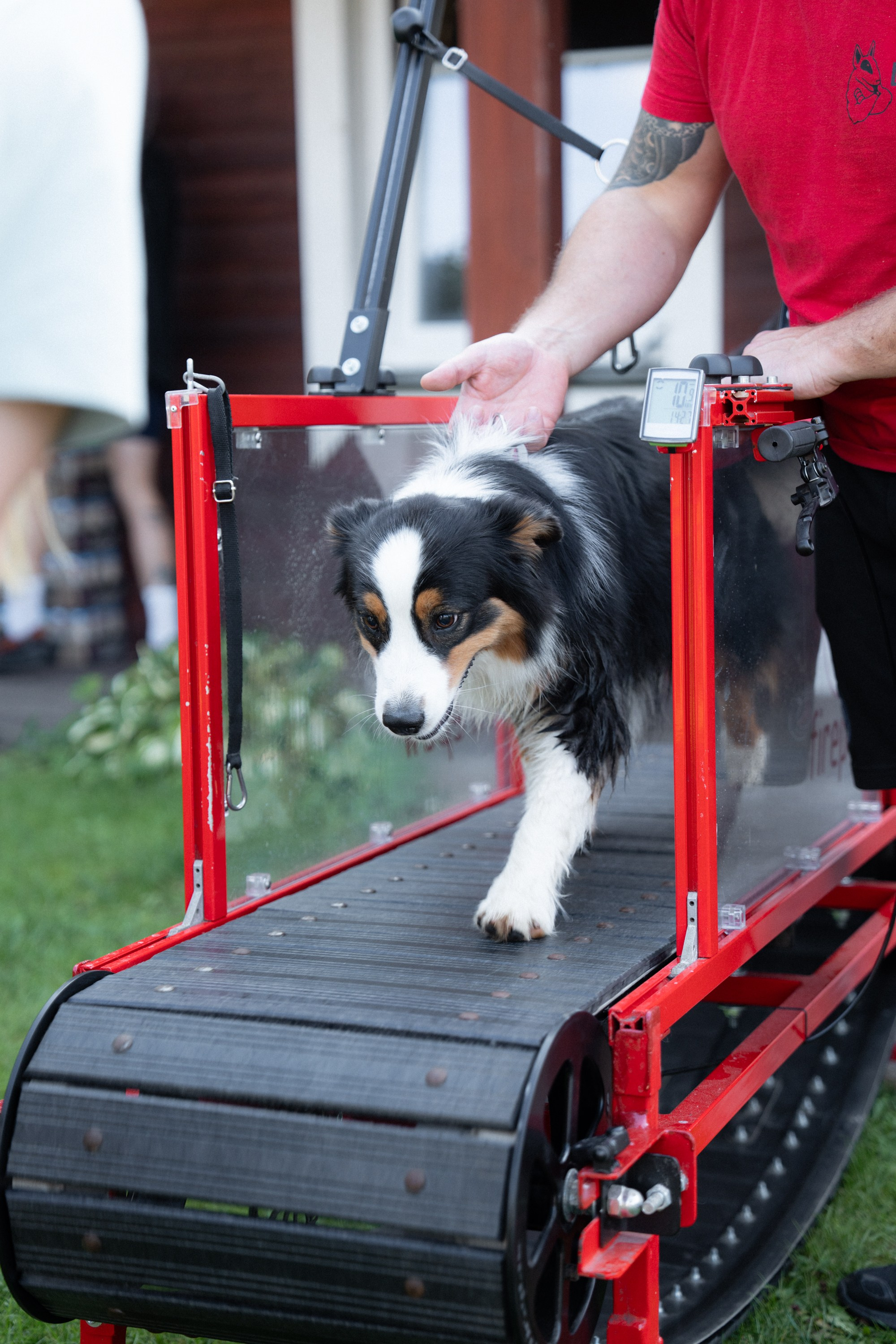 Heppi Dogo fest 2025. Vita Klimaševska ○ Fluffy Soulmate Photography