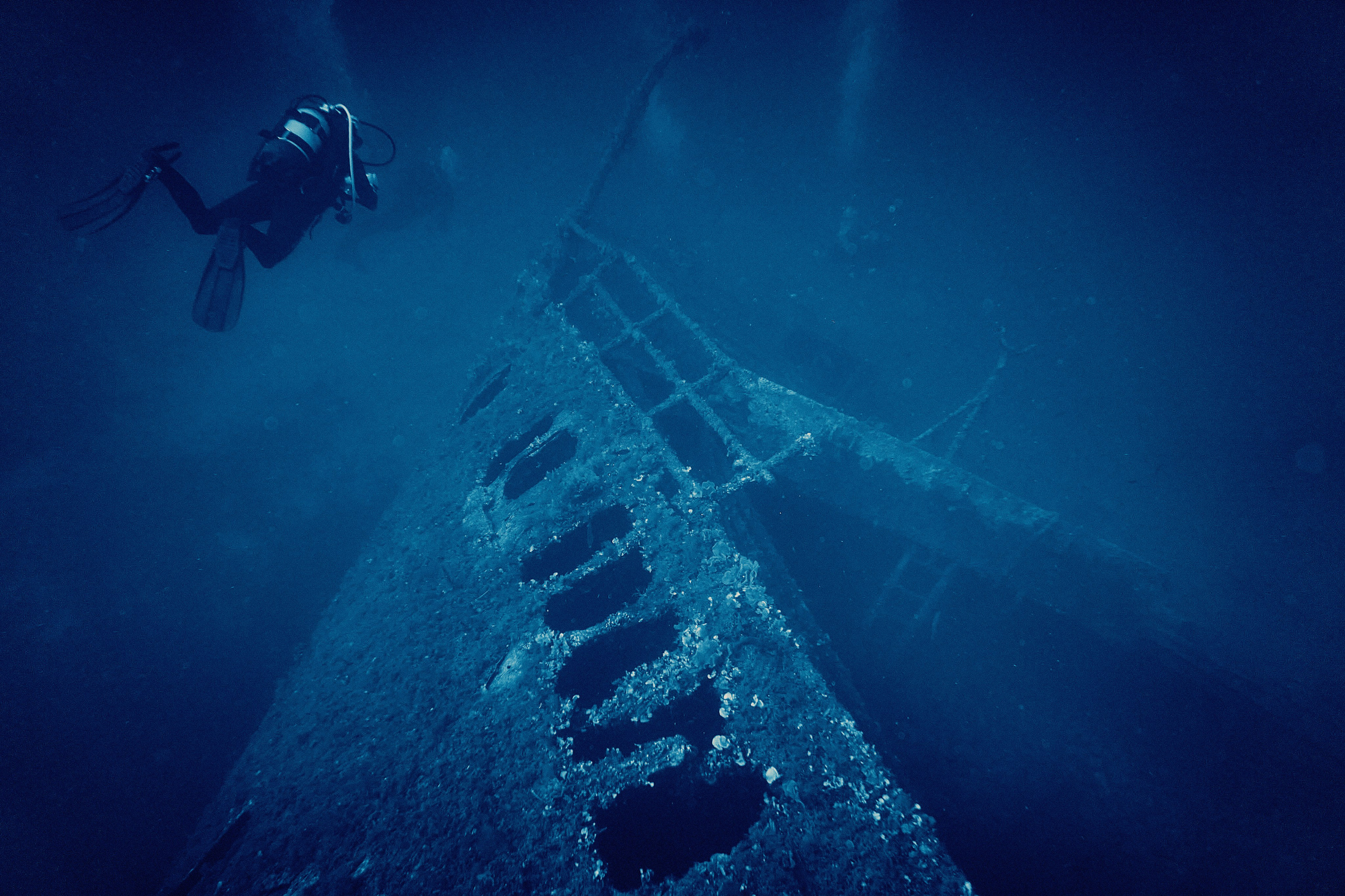 Fotograf podwodny Andriej Szypiłow. Андрей Шипилов — Фотография & Видеография