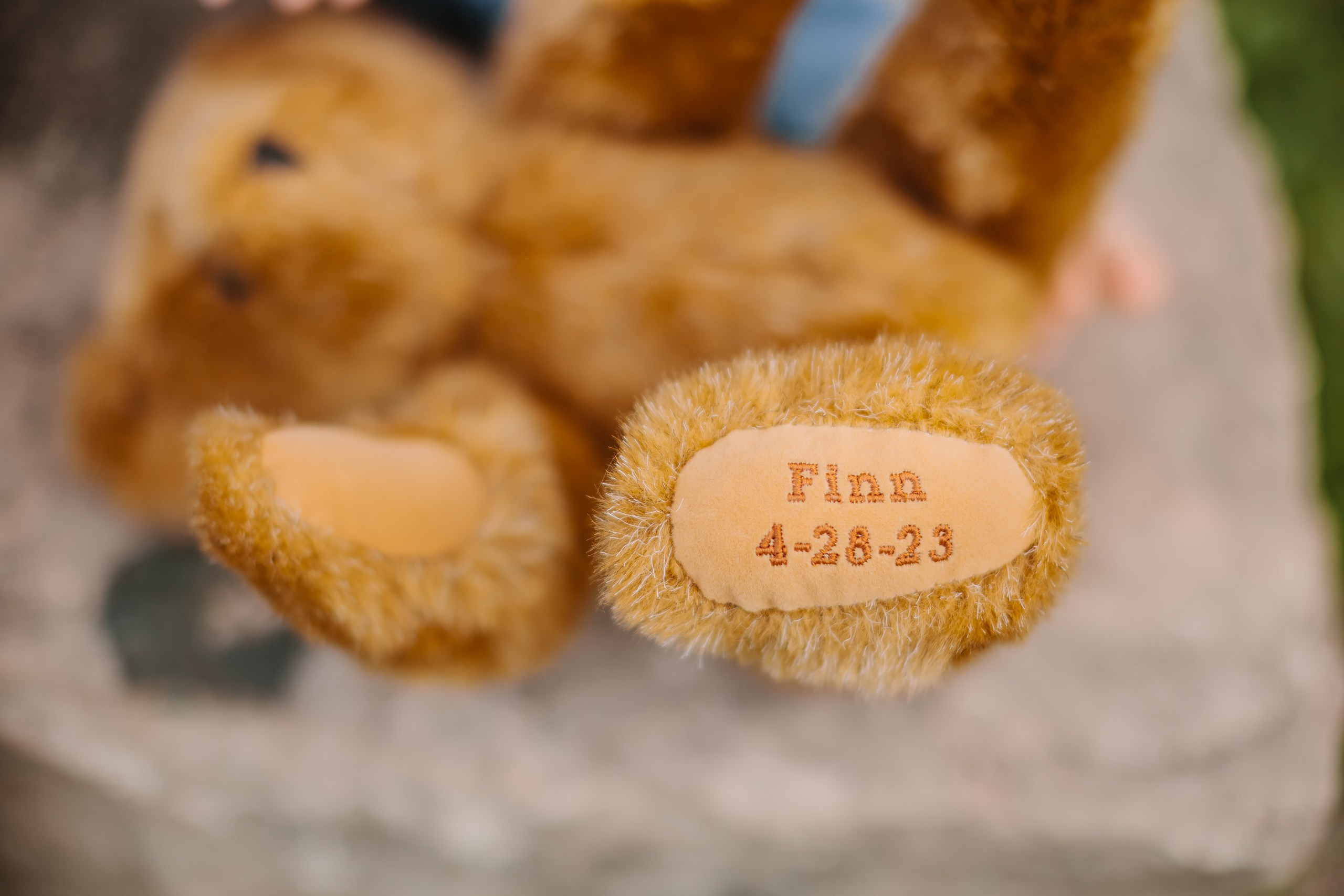 13.05.24 Family Photoshoot. Wedding family event photographer in Chicago Nick Yushevich