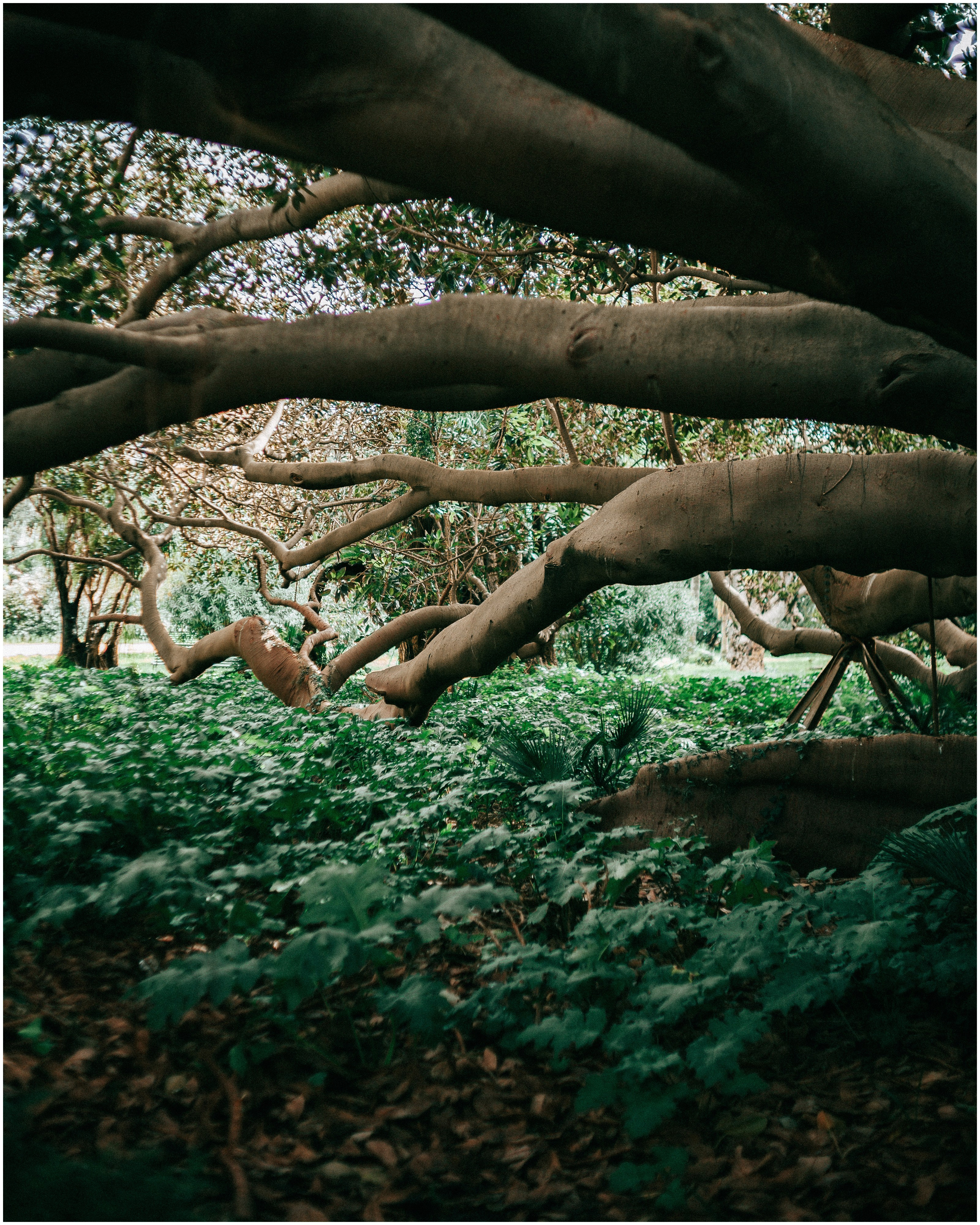 PALERMO. Photographer Inna Mendelson