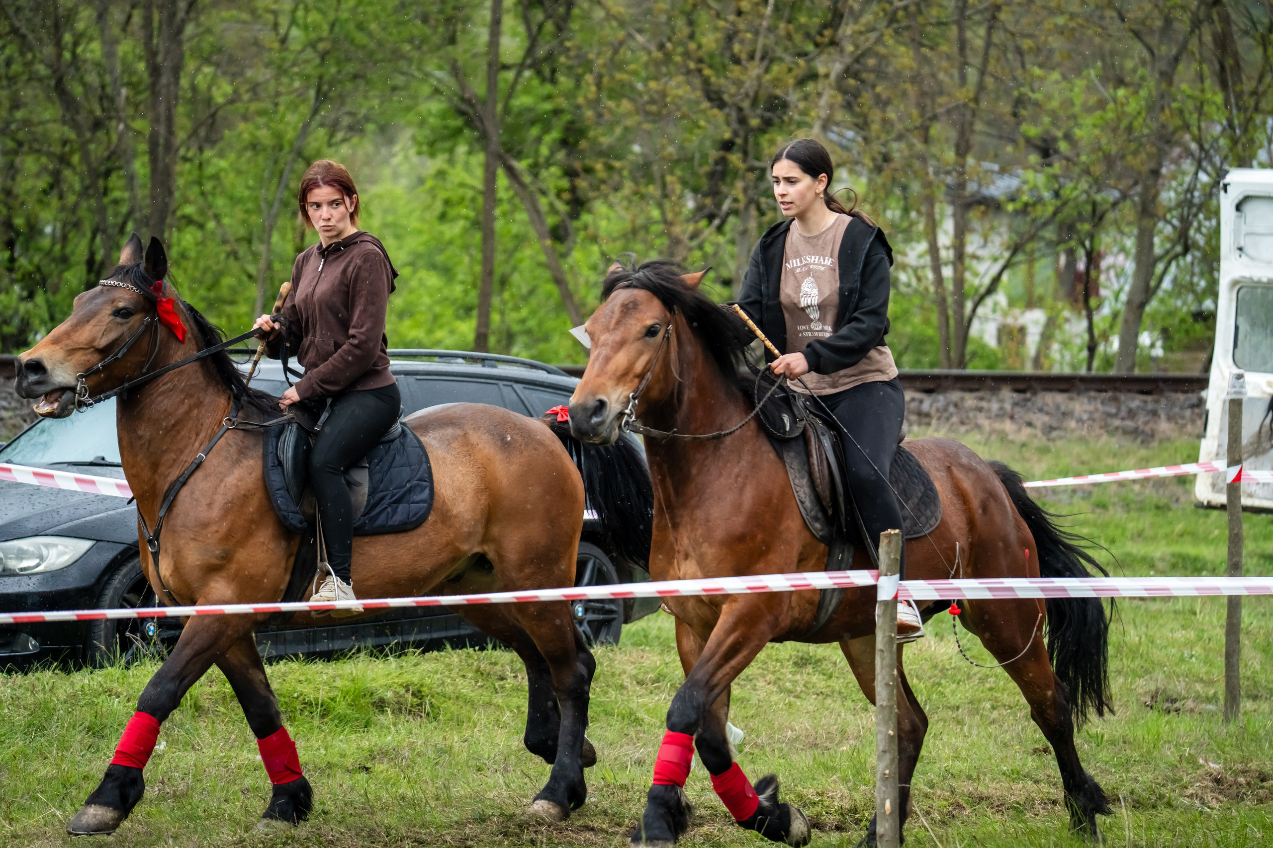 Concurs Ecvestru Vărbilău ediția a 4-a. Mihai Alexandra Events