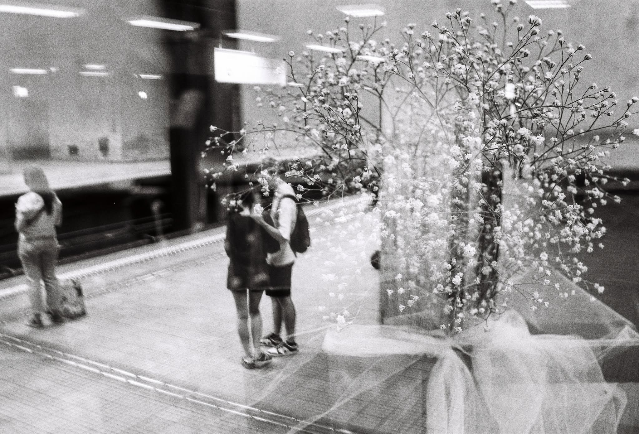 Street Photography. Graphic designer Andreea Maieru