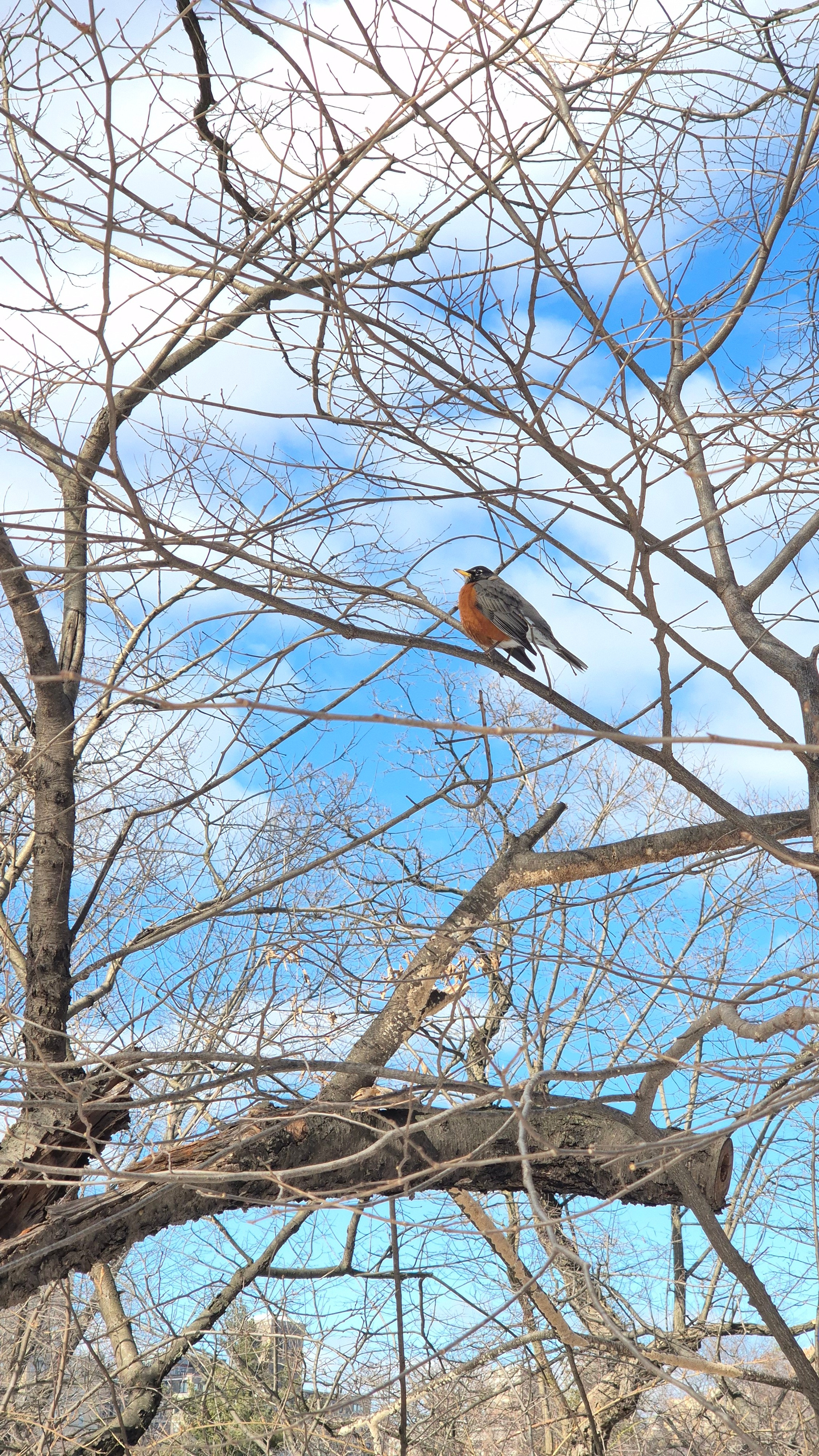 New York 2026. Photographer Marina, city of Nuremberg