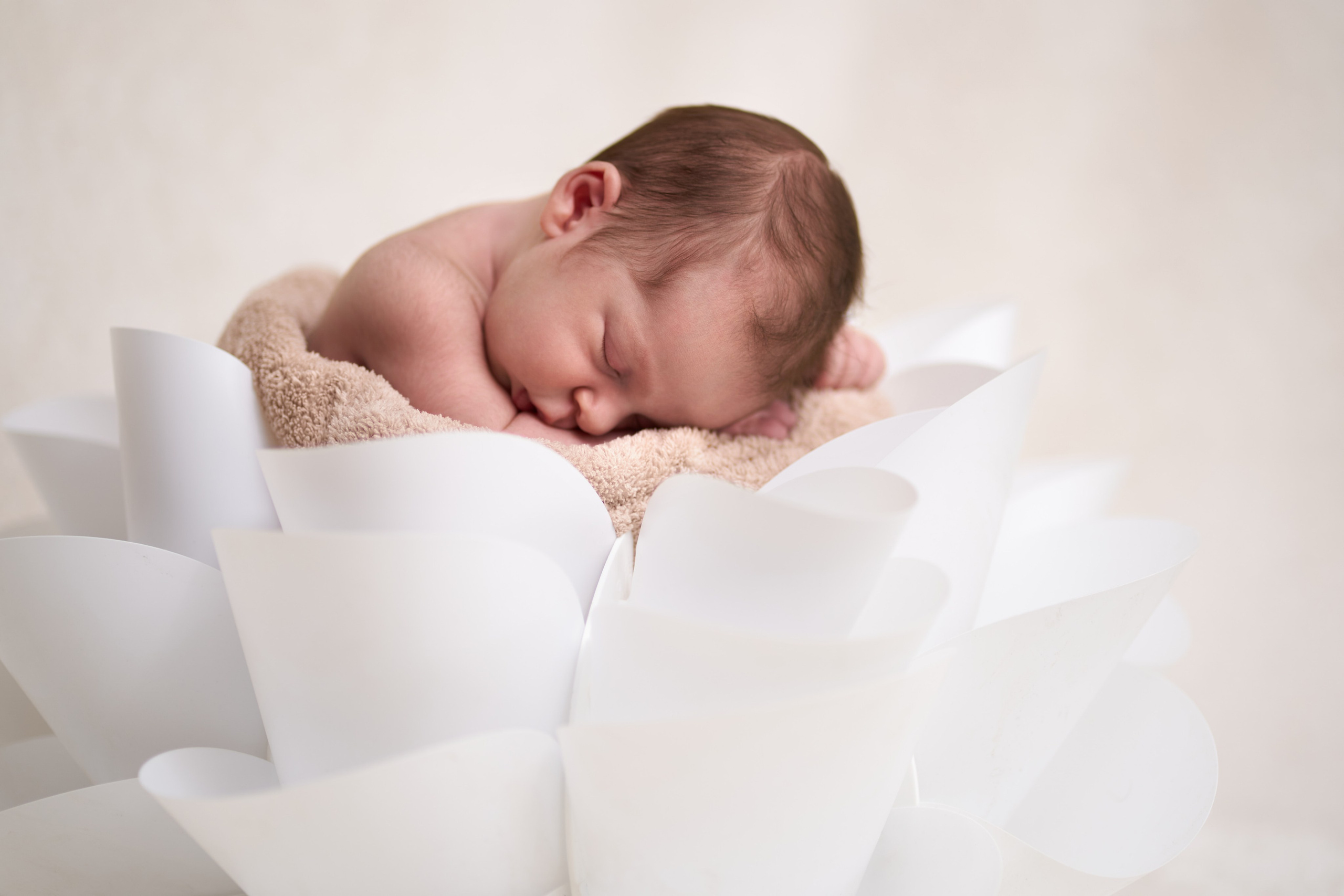 Newborn — Mia. צלם אלכס ברט בישראל