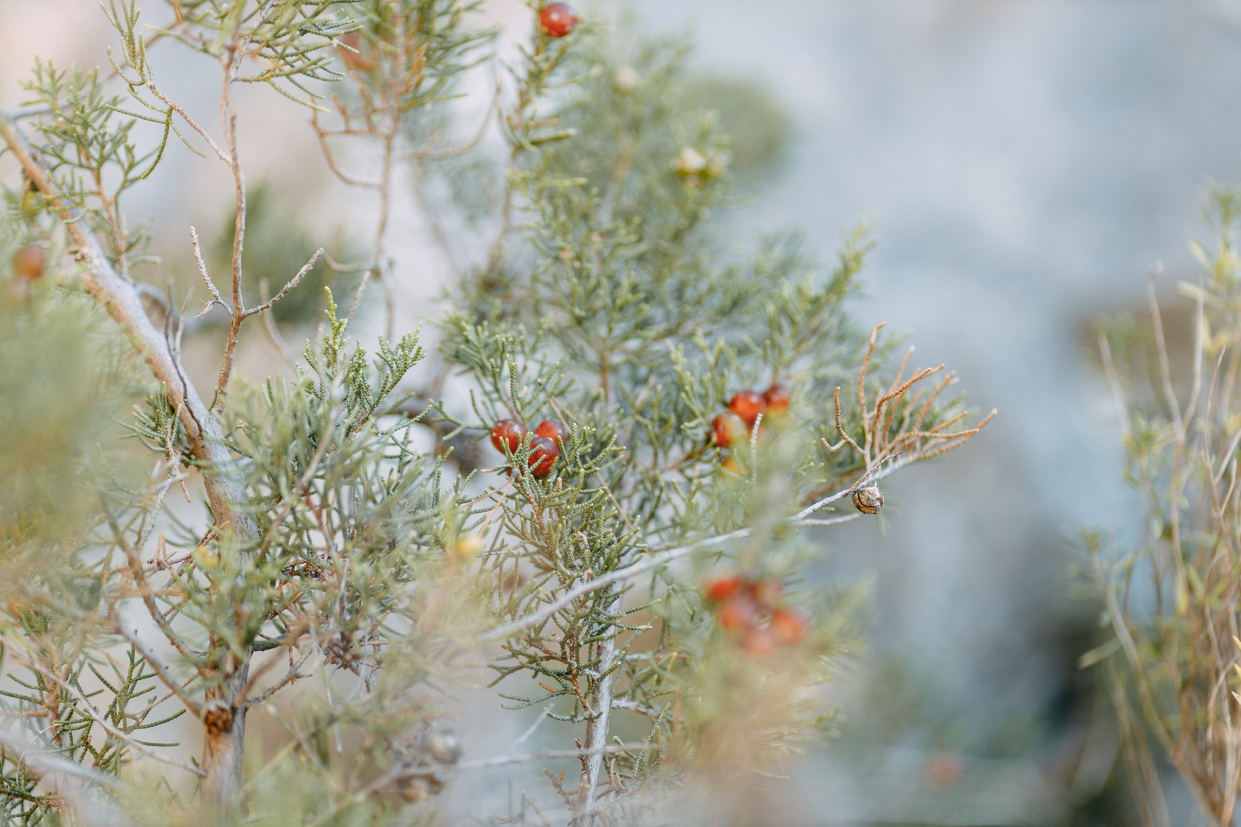 Love Kroatien. Professionele fotografin in Münsingen Olesia Wegele
