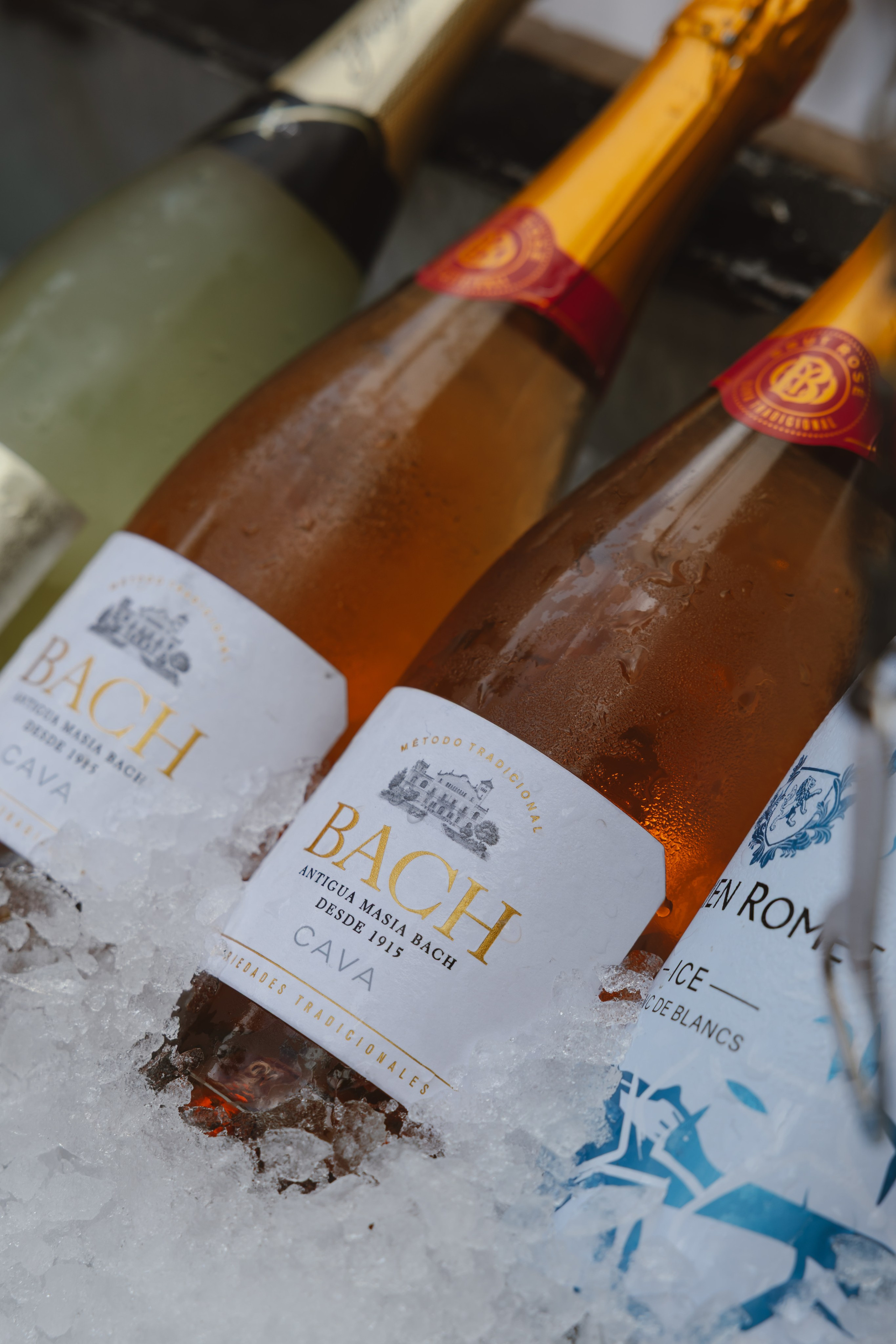 EVA & GUILLE. Fotógrafo y Videografo de bodas y eventos