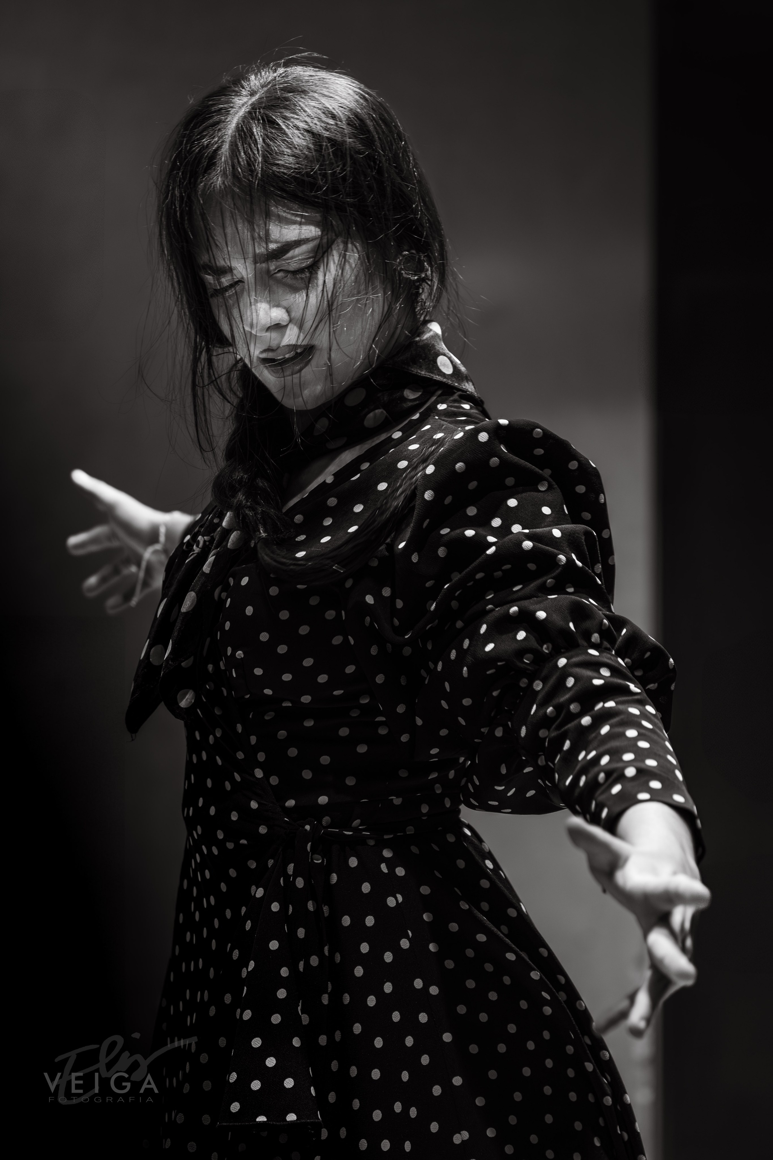 Espectáculo Baile. Elisveiga