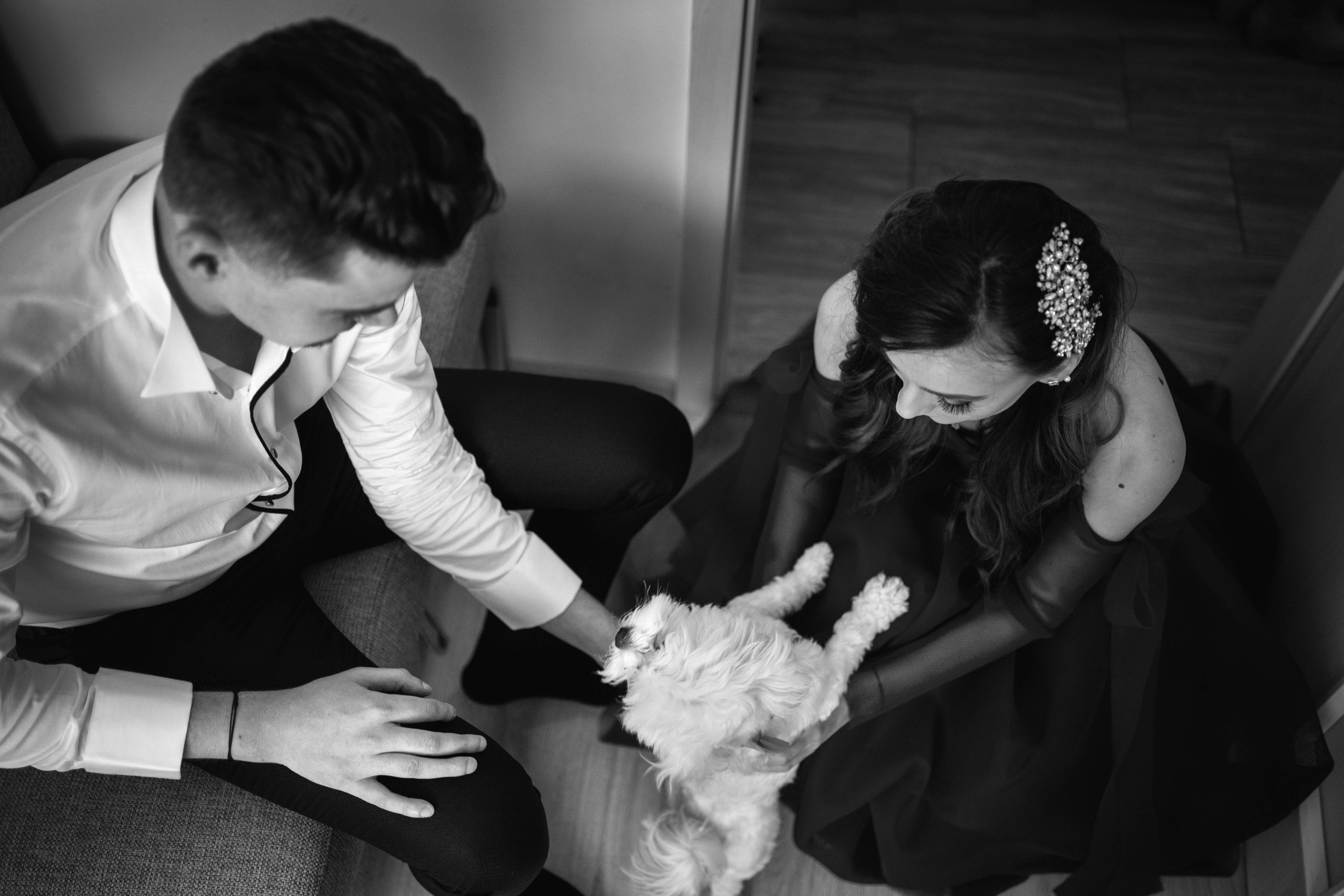 Roxana & Bogdan. Fotograf evenimente, fotograf nunta, fotograf botez