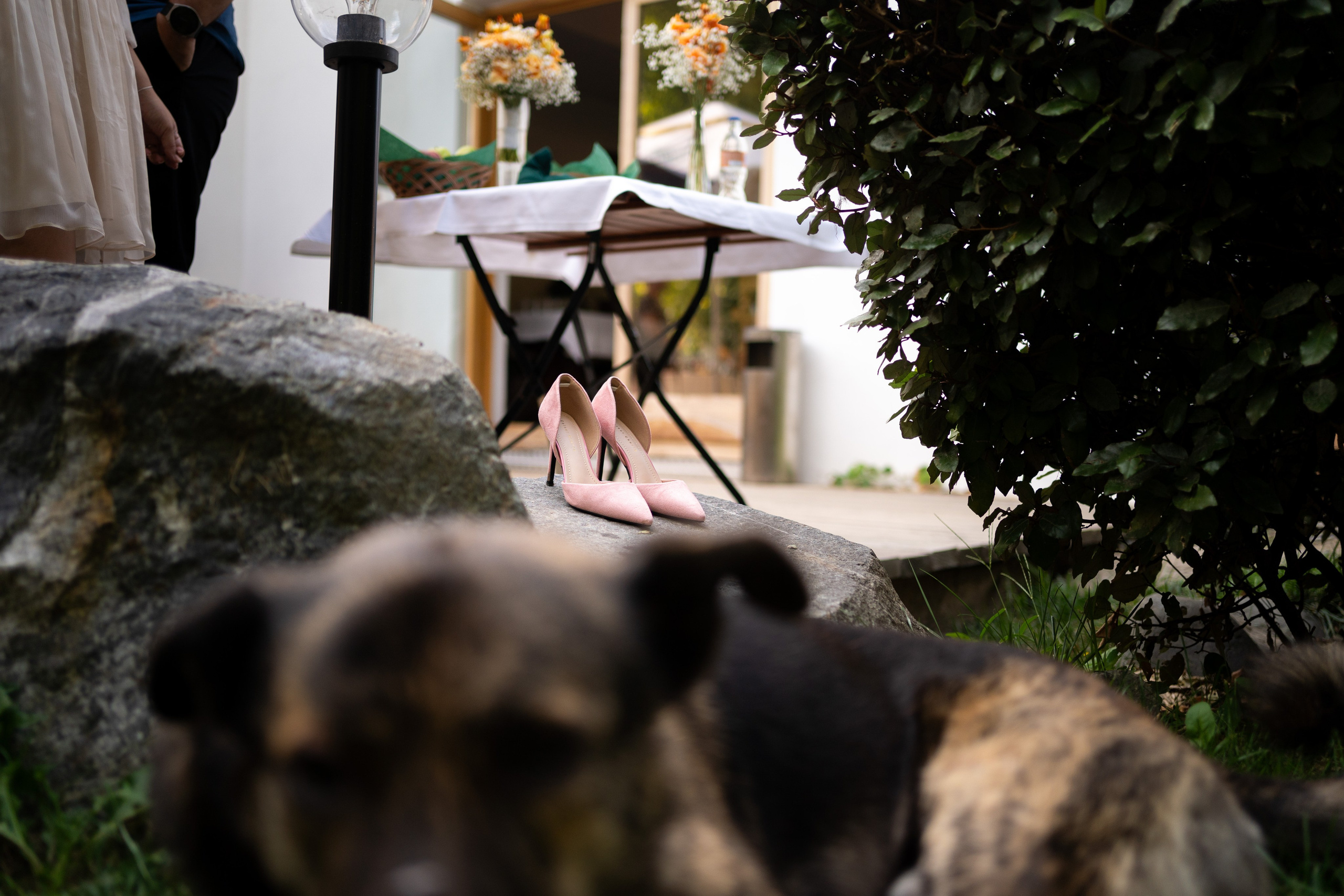 Alexandra & Alexandru. Fotograf evenimente, fotograf nunta, fotograf botez