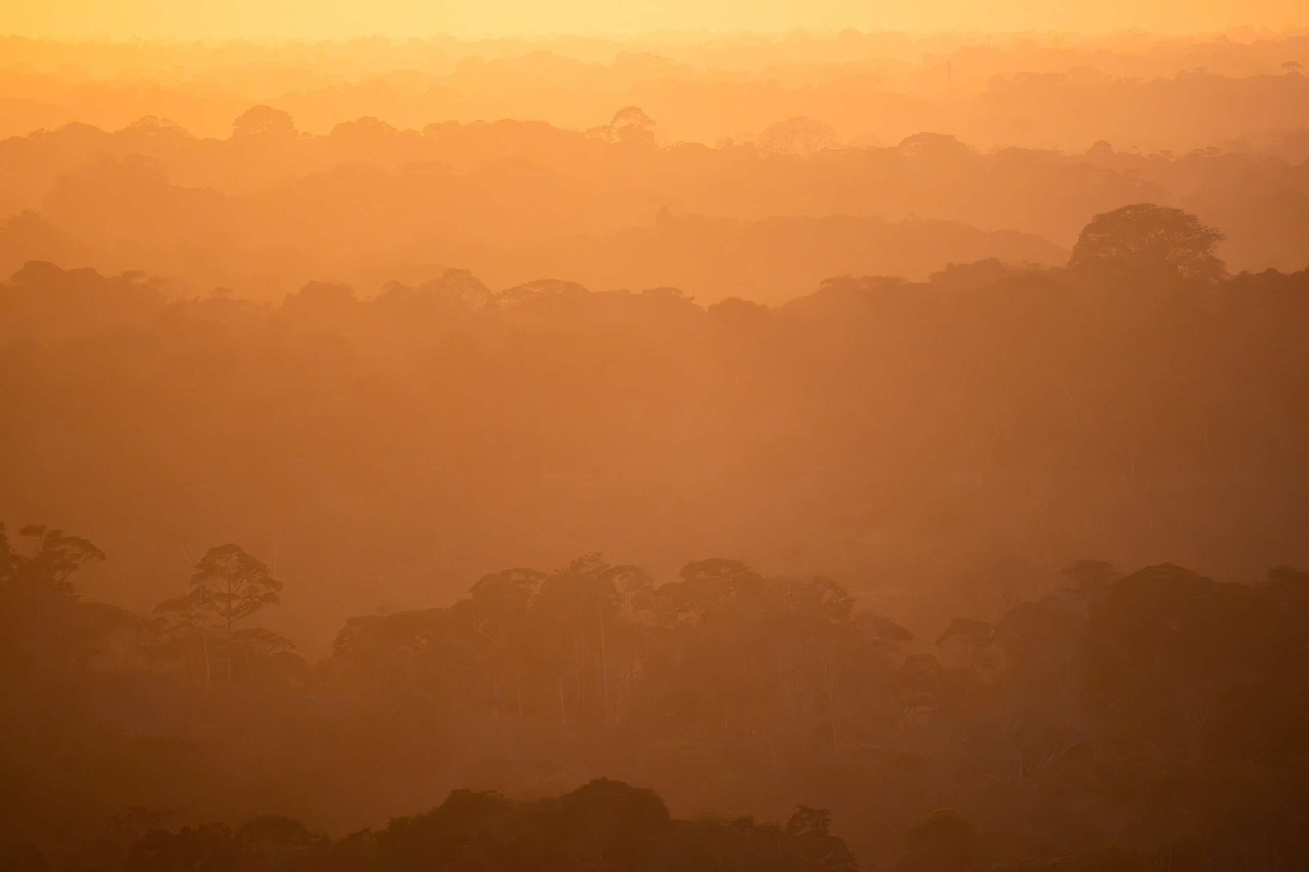 Nature photographer Yuri Soria-Galvarro