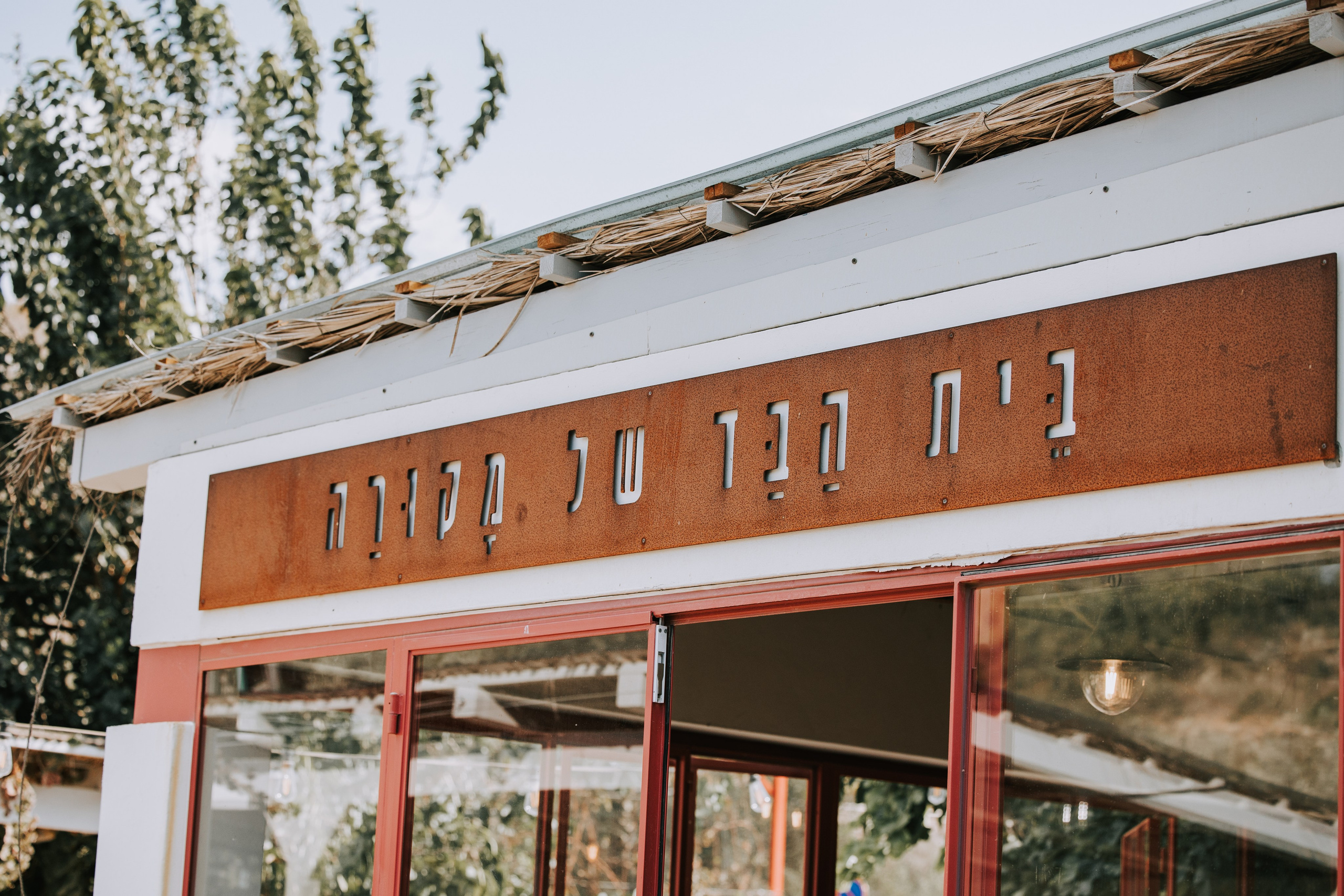 זרעי גדרה — SYNGENTA. AMIR BUCHNIK PHOTOGRAPHER