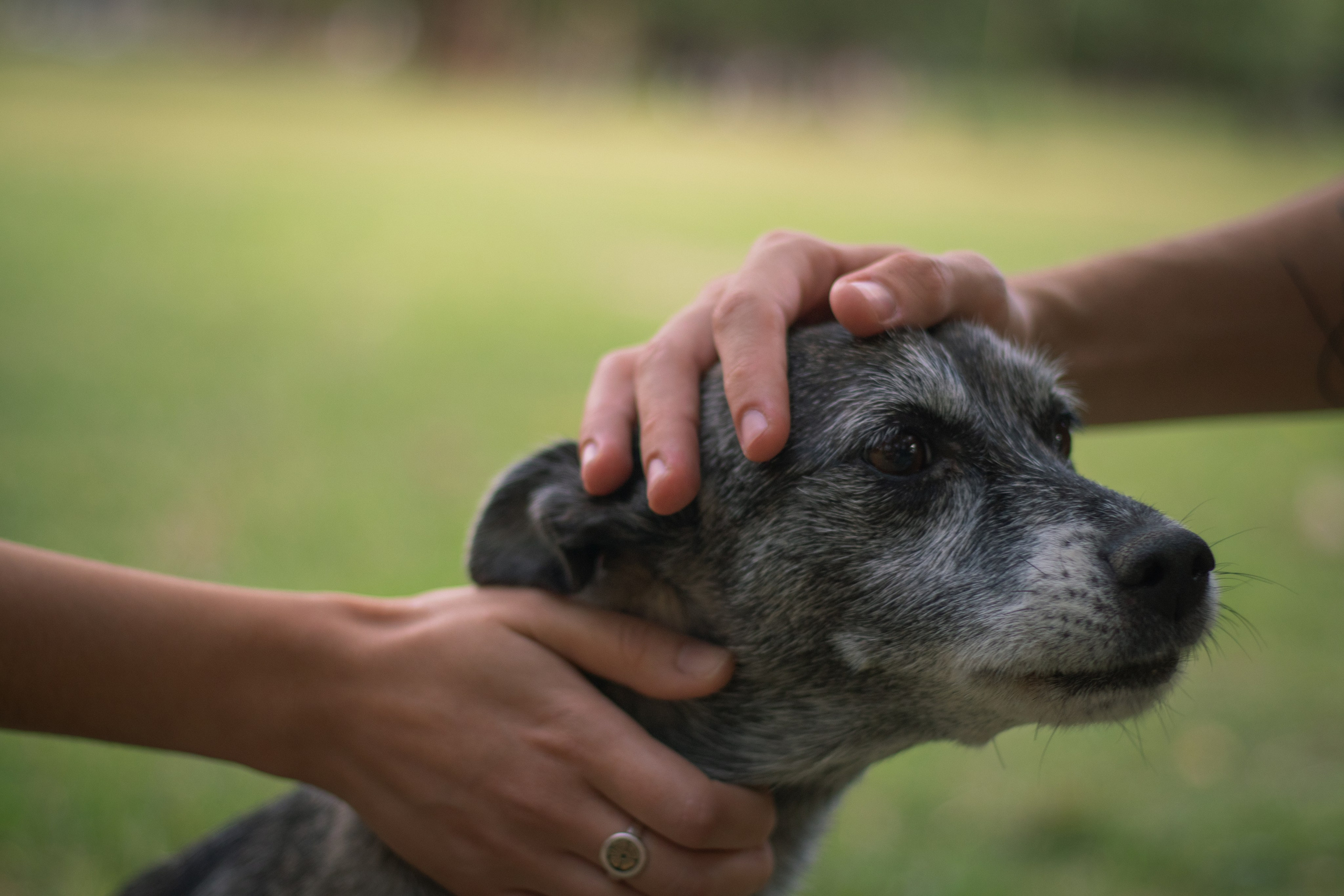 Maya & Pablo. Fotógrafo en Mendoza Alexander Safonov