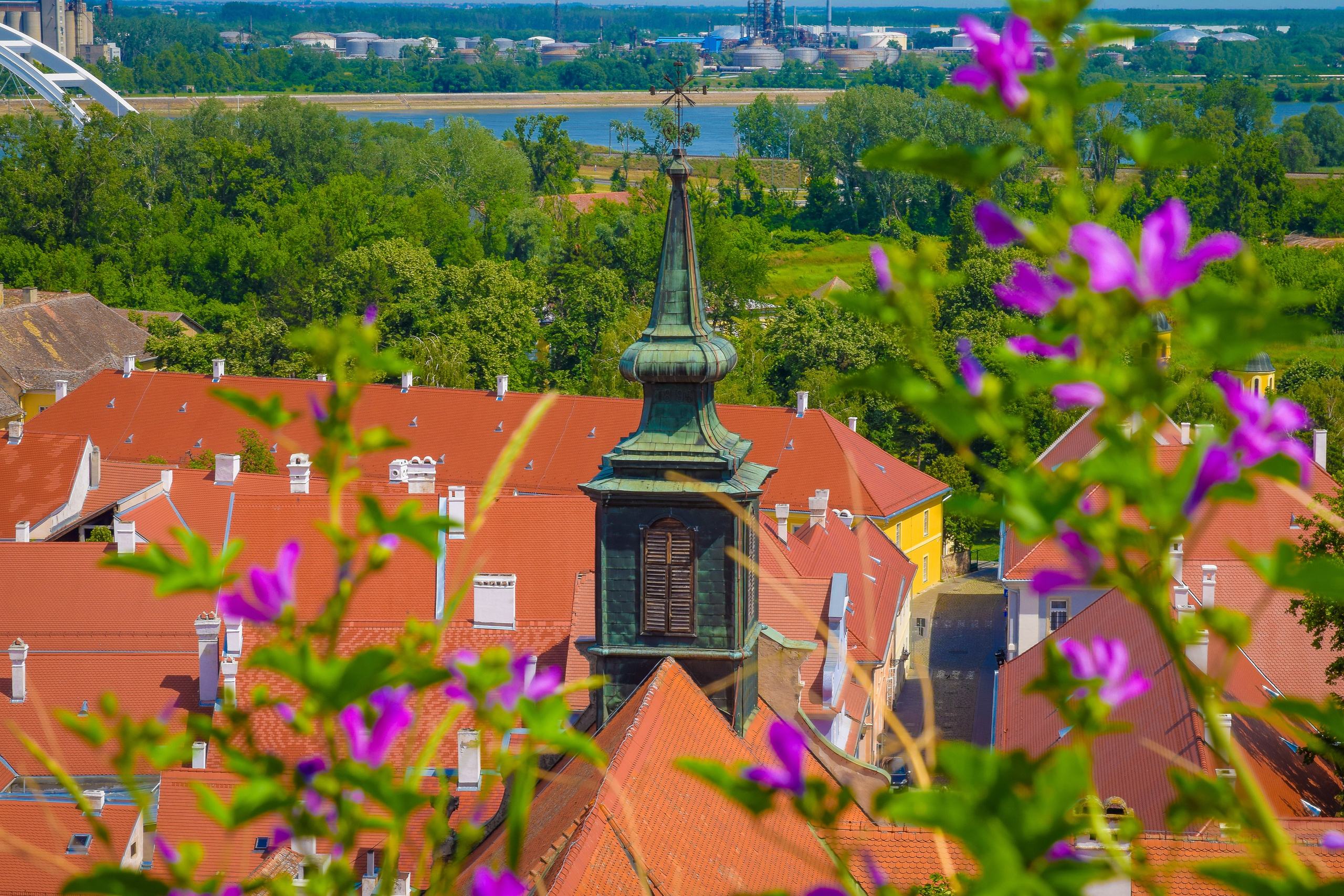 Петроварадин - галерија на продају. Викторија Федосеенко, фотограф у Србији
