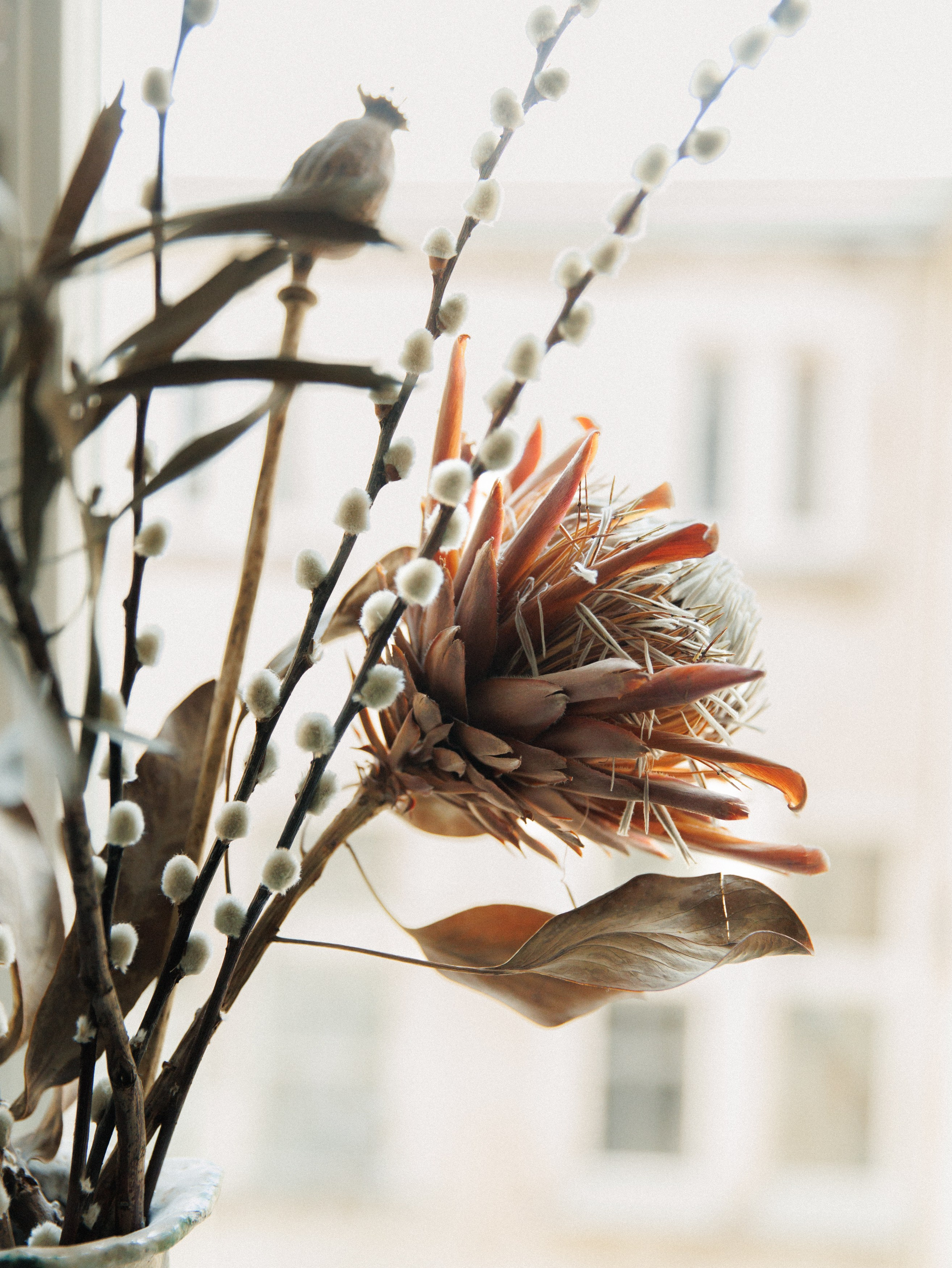 Koło ceramics. Kaja | fotograf we Wrocławiu | ludzie i psy