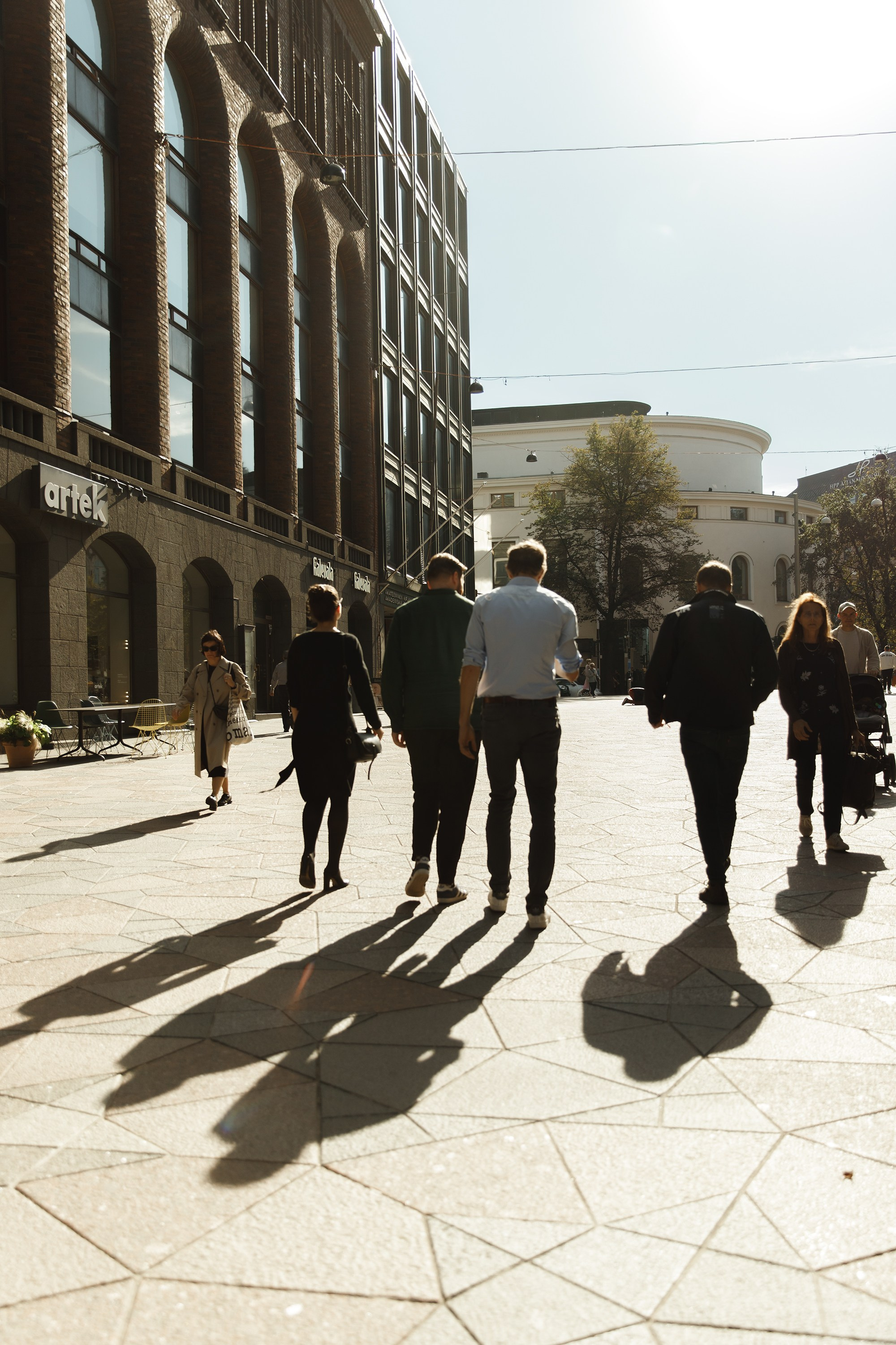 Helsinki. Kaja | fotograf psów we Wrocławiu
