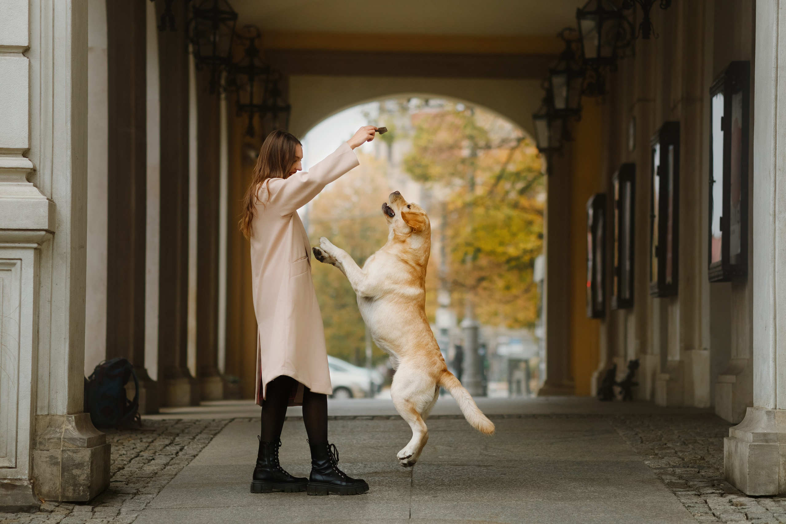 Katya & labrador. Kaja | fotograf psów we Wrocławiu