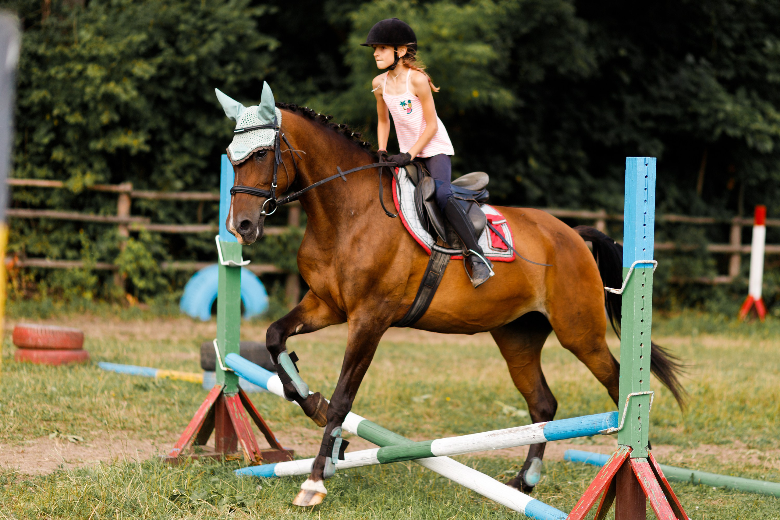 Girls & horses, summer. Kaja | fotograf psów we Wrocławiu