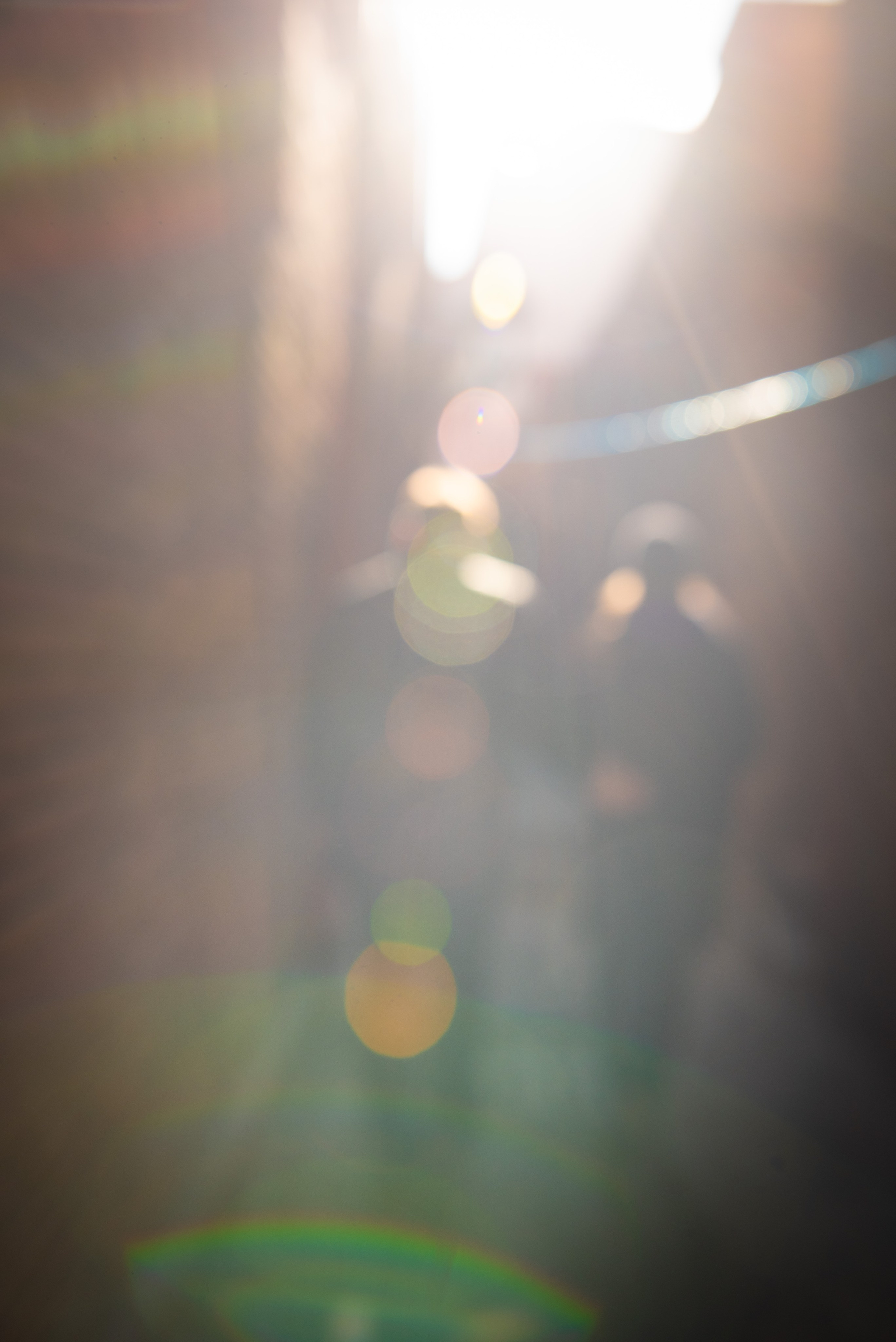 Tbilisi. Photographer in Tbilisi