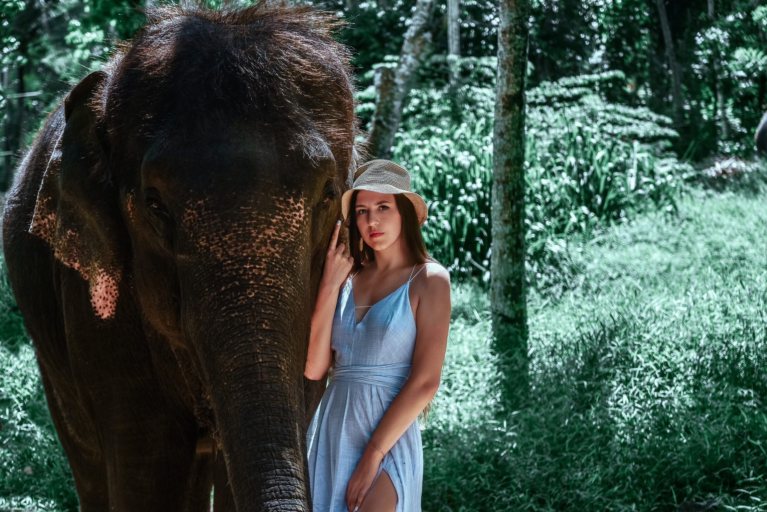 Фото туры на Шри Ланке. Фотограф на Шри Ланке