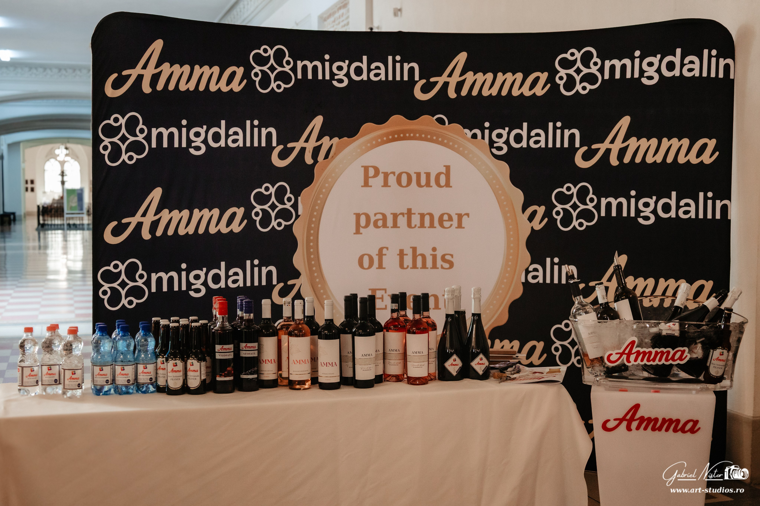 Uniunea Națională a Patronatului Român. Gabriel Nistor Art-Studios - Fotograf / Videograf Iasi