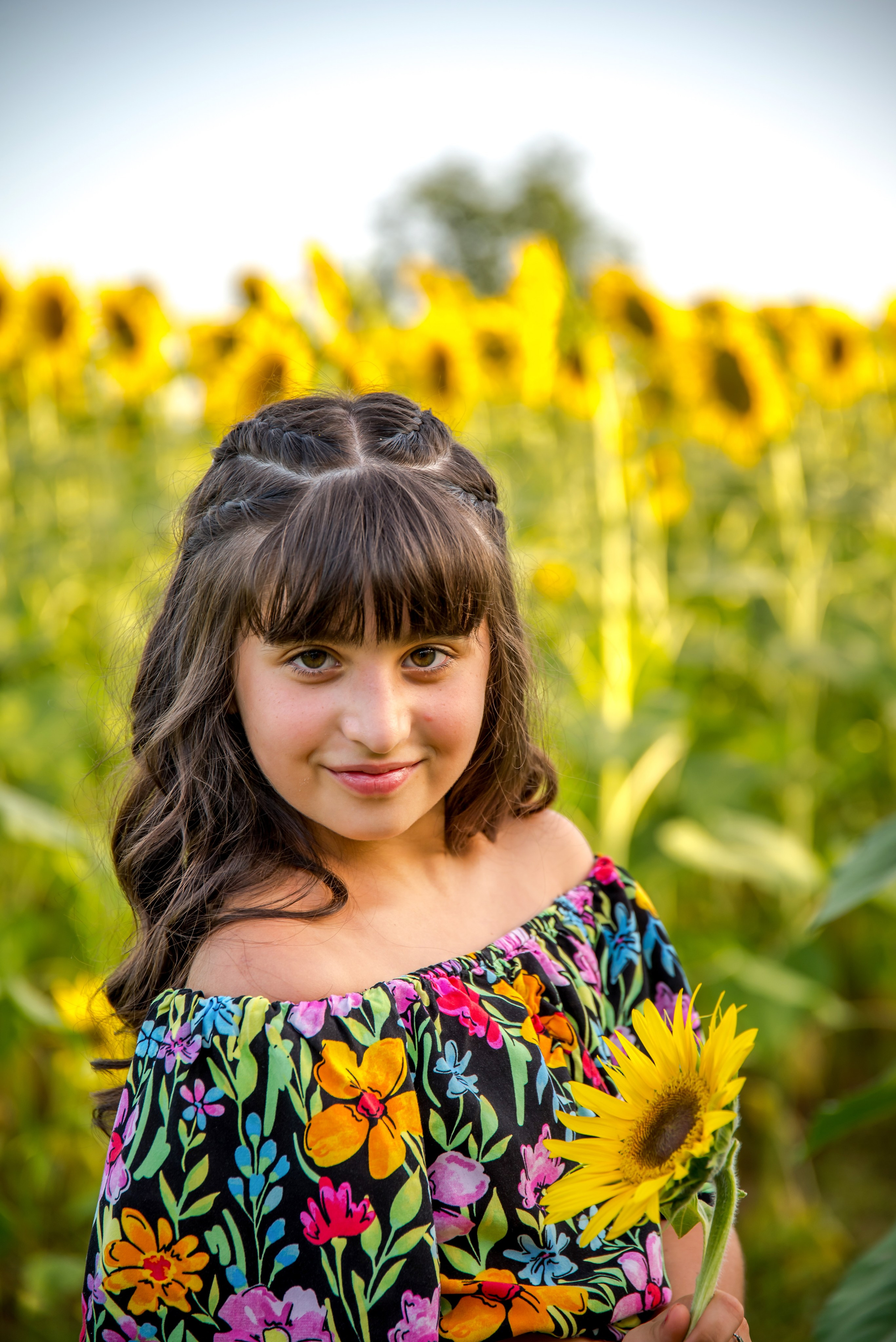 Campo di Girasole. Fotografo di famiglia