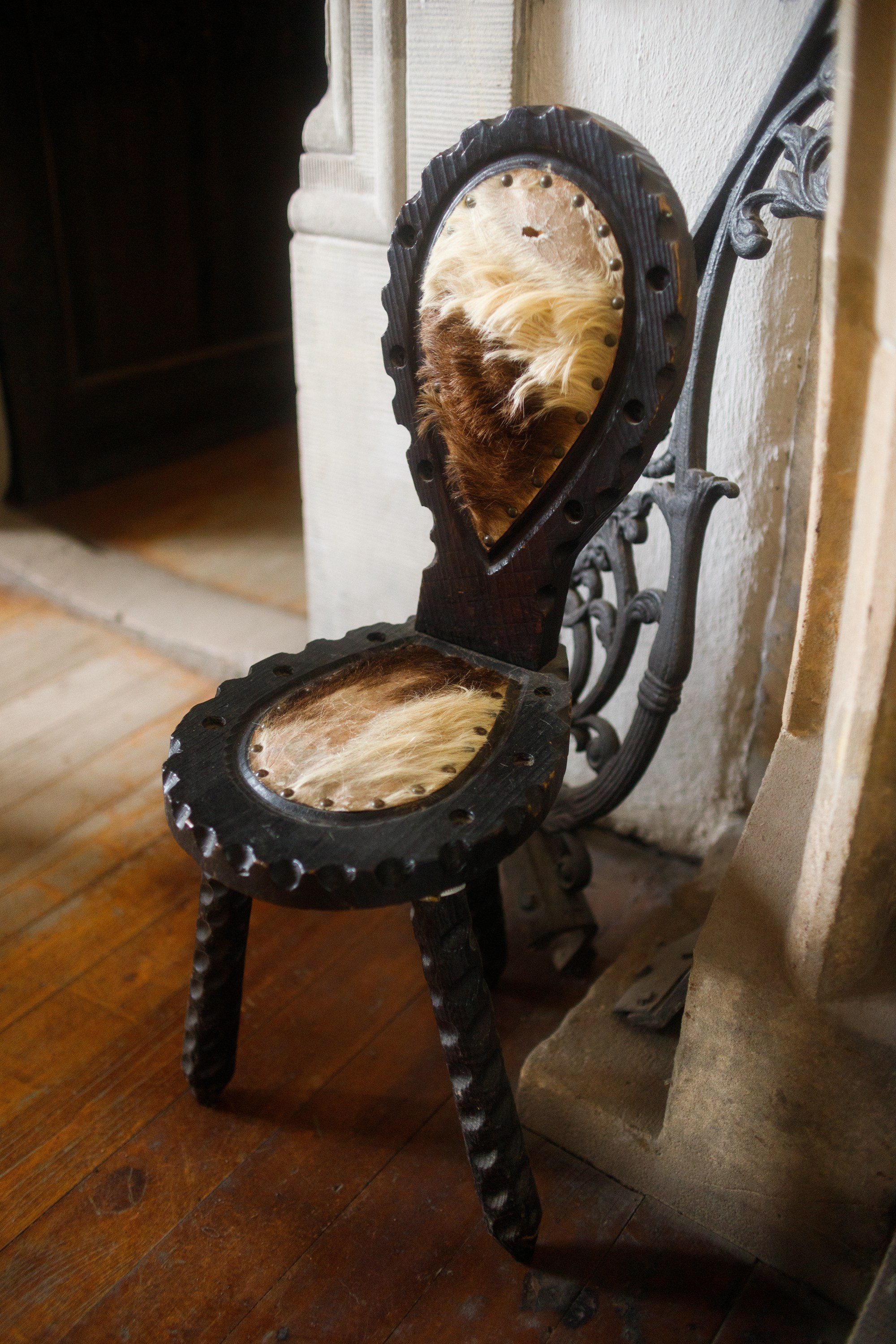 Zamek Grodziec. Kaja | fotograf psów we Wrocławiu