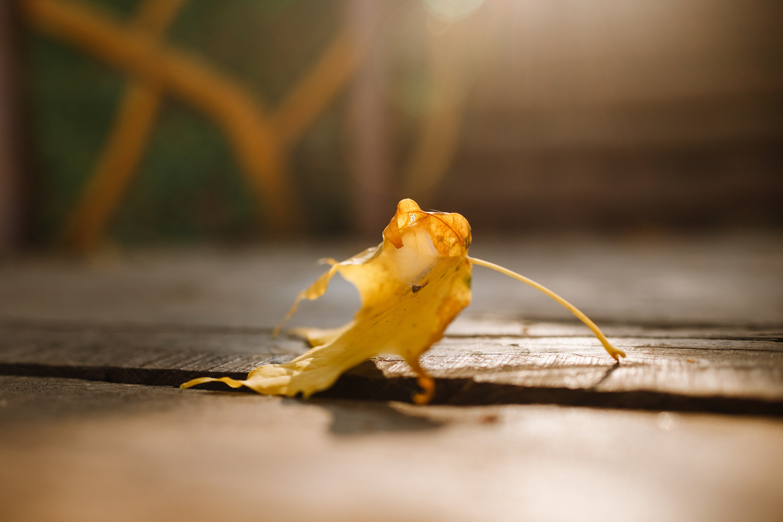 One small village in Grodno region. Kaja | fotograf we Wrocławiu | ludzie i psy