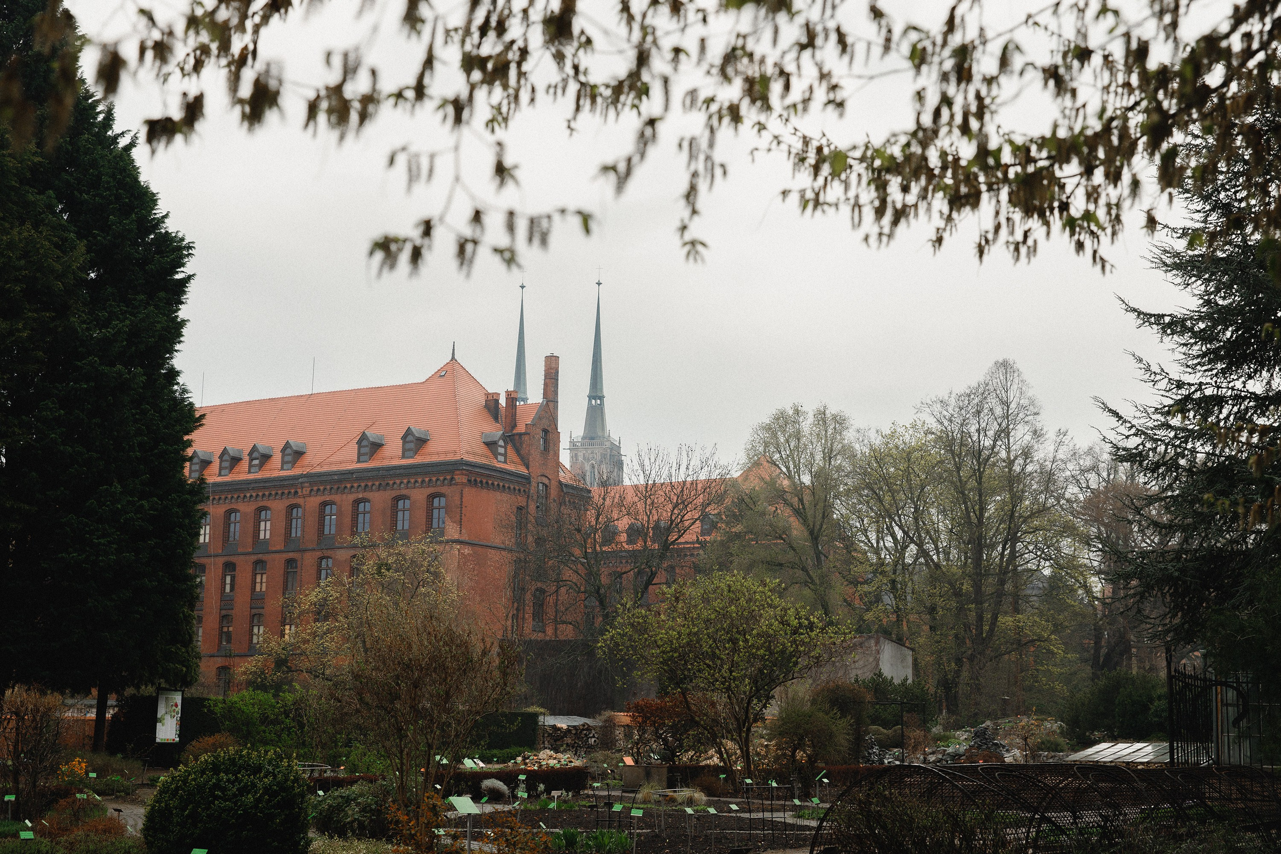 Botanical garden in Wroclaw. Kaja | fotograf we Wrocławiu | ludzie i psy