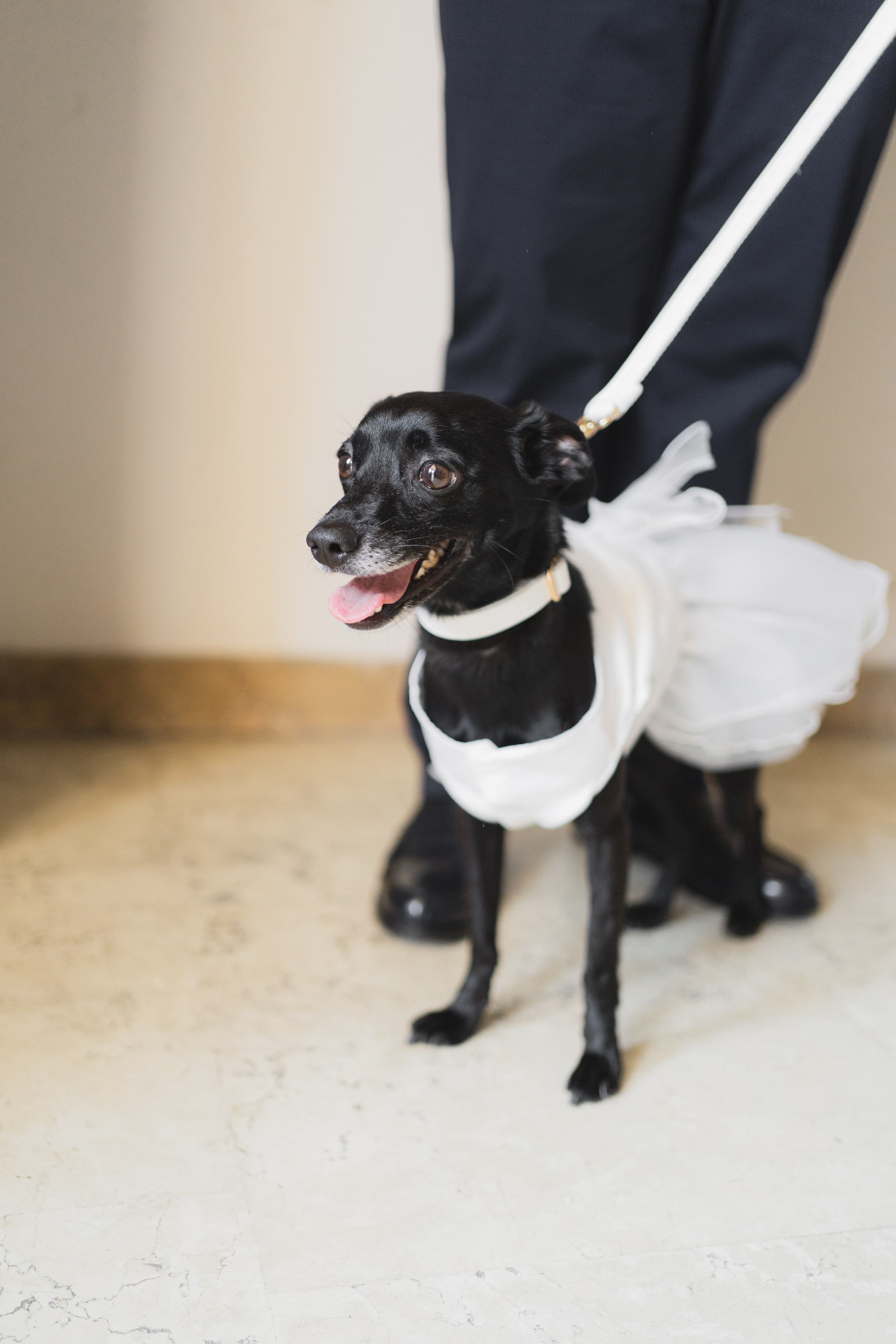 Dora&Massimiliano. Fotografa di matrimoni Castelfranco Veneto Camilla Bandiera