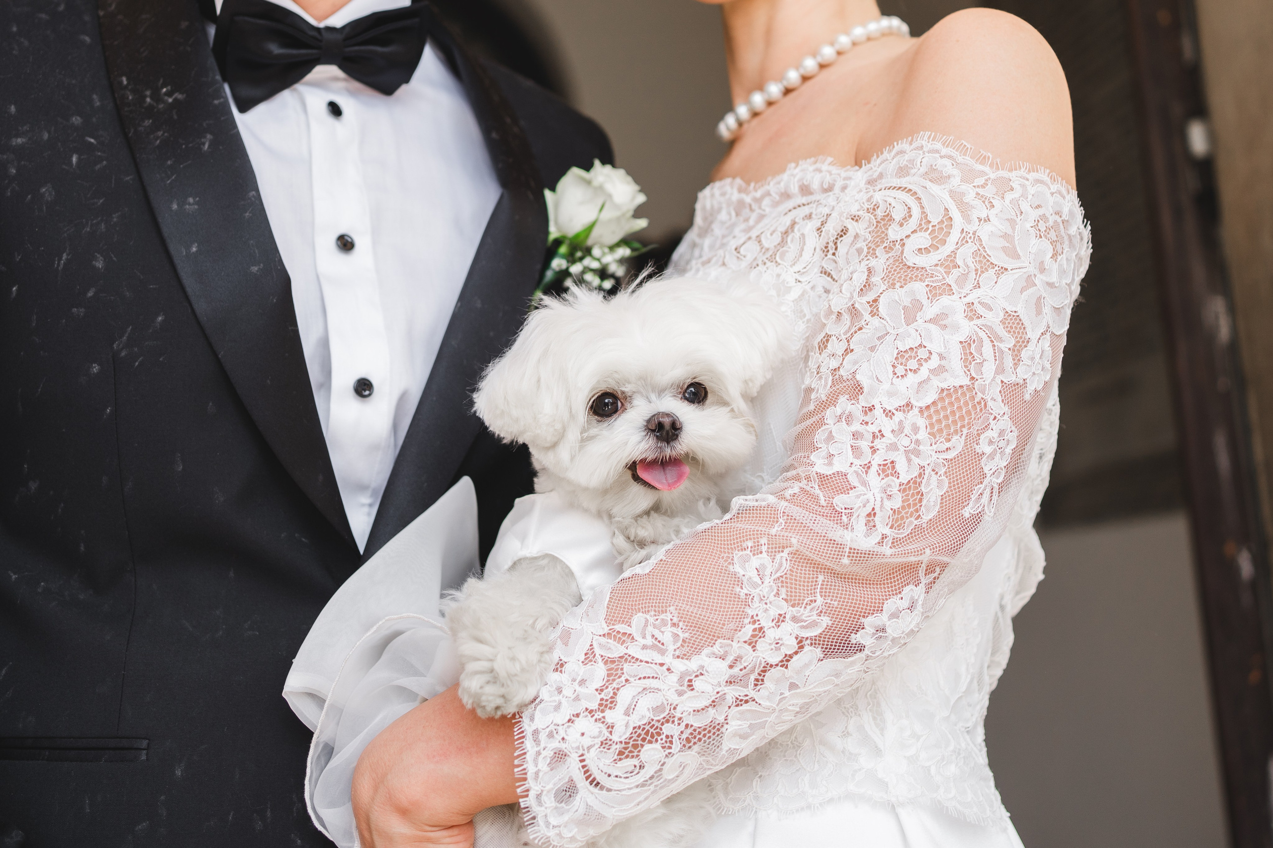 Dora&Massimiliano. Fotografa di matrimoni Castelfranco Veneto Camilla Bandiera