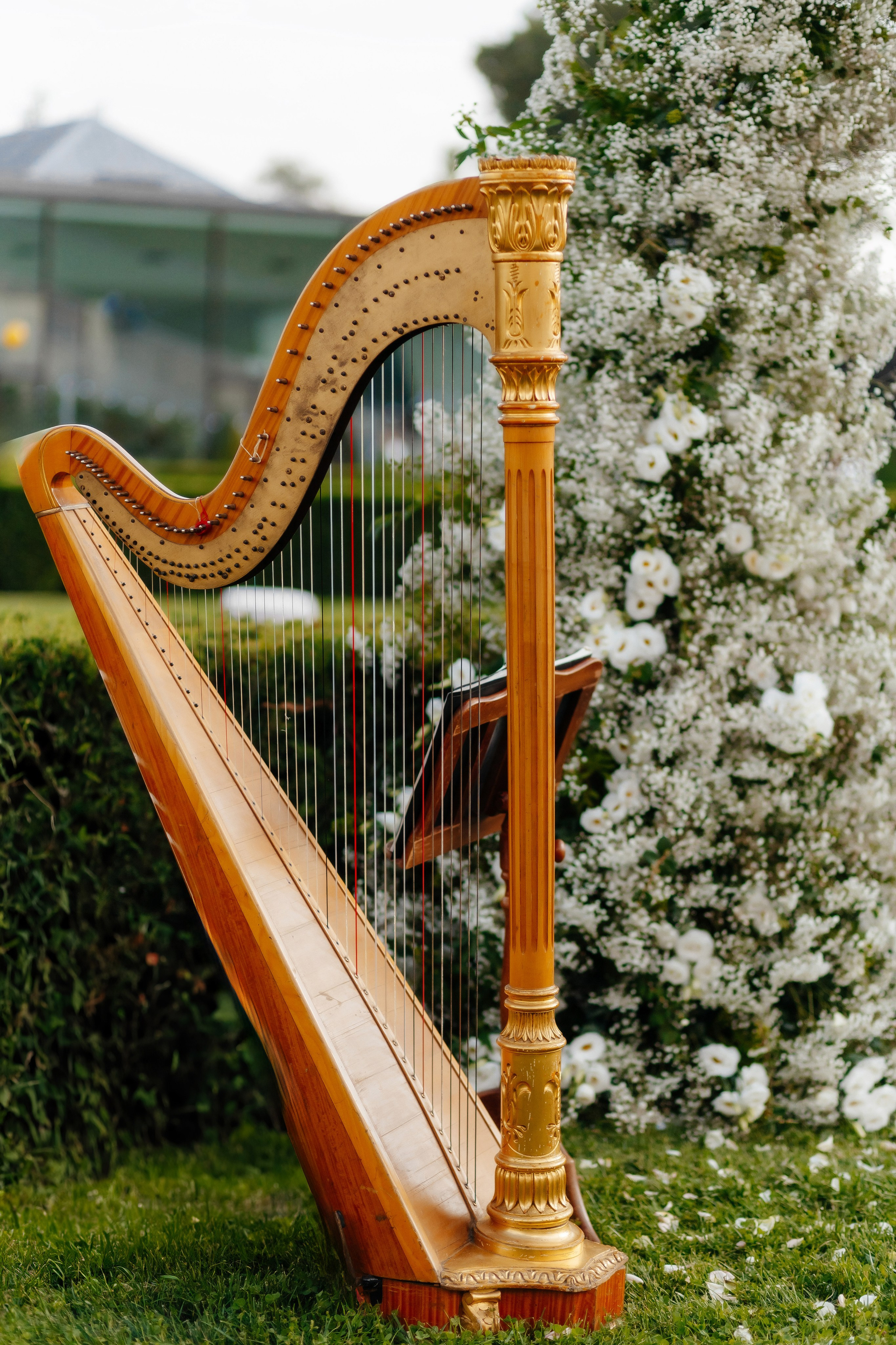 MARINA + NICOLAE, CASTEL MIMI WINE RESORT. Fulga Photographer