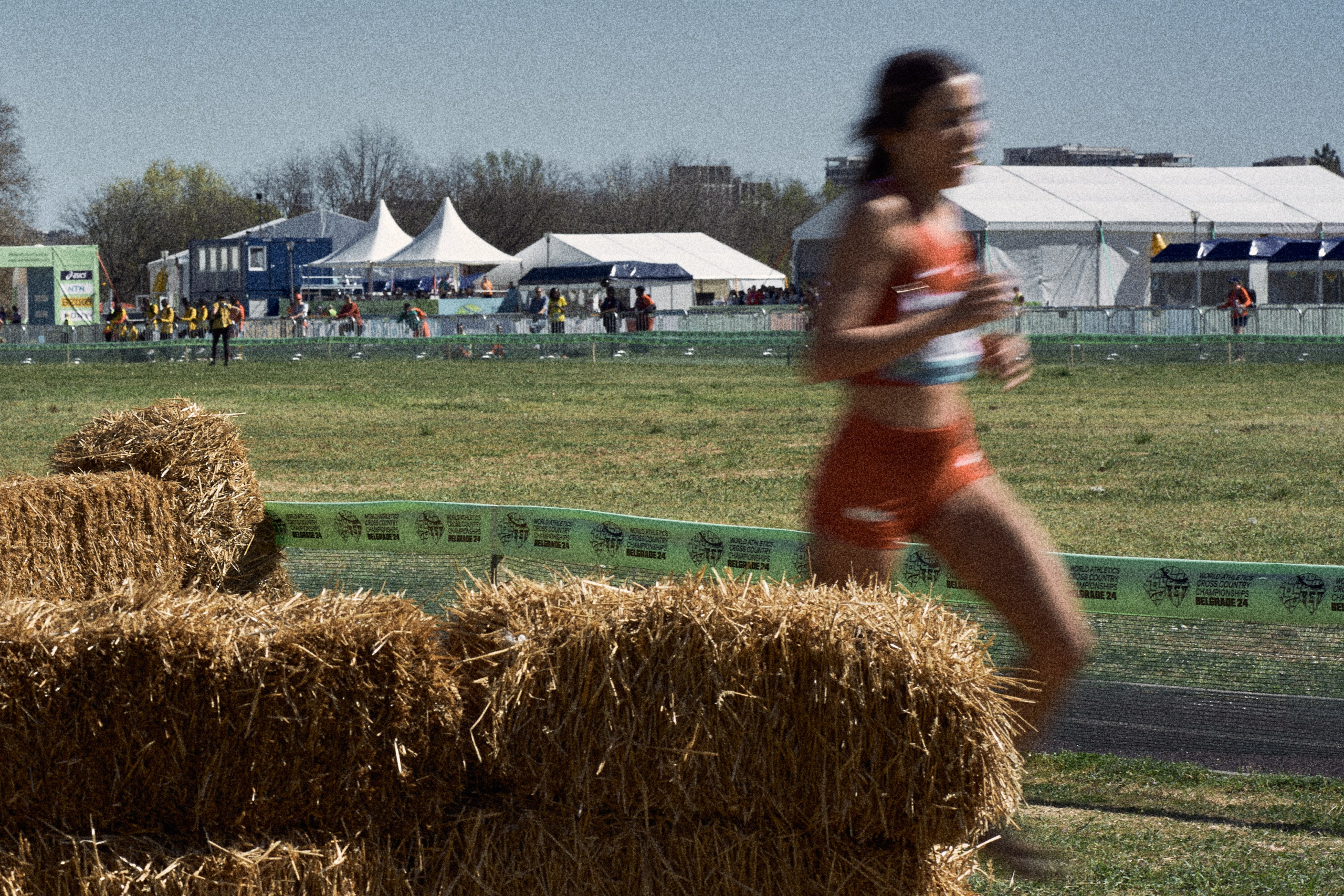 Cross Country Championship 2024 #running. Photographer Evgeniya Dovgalyuk