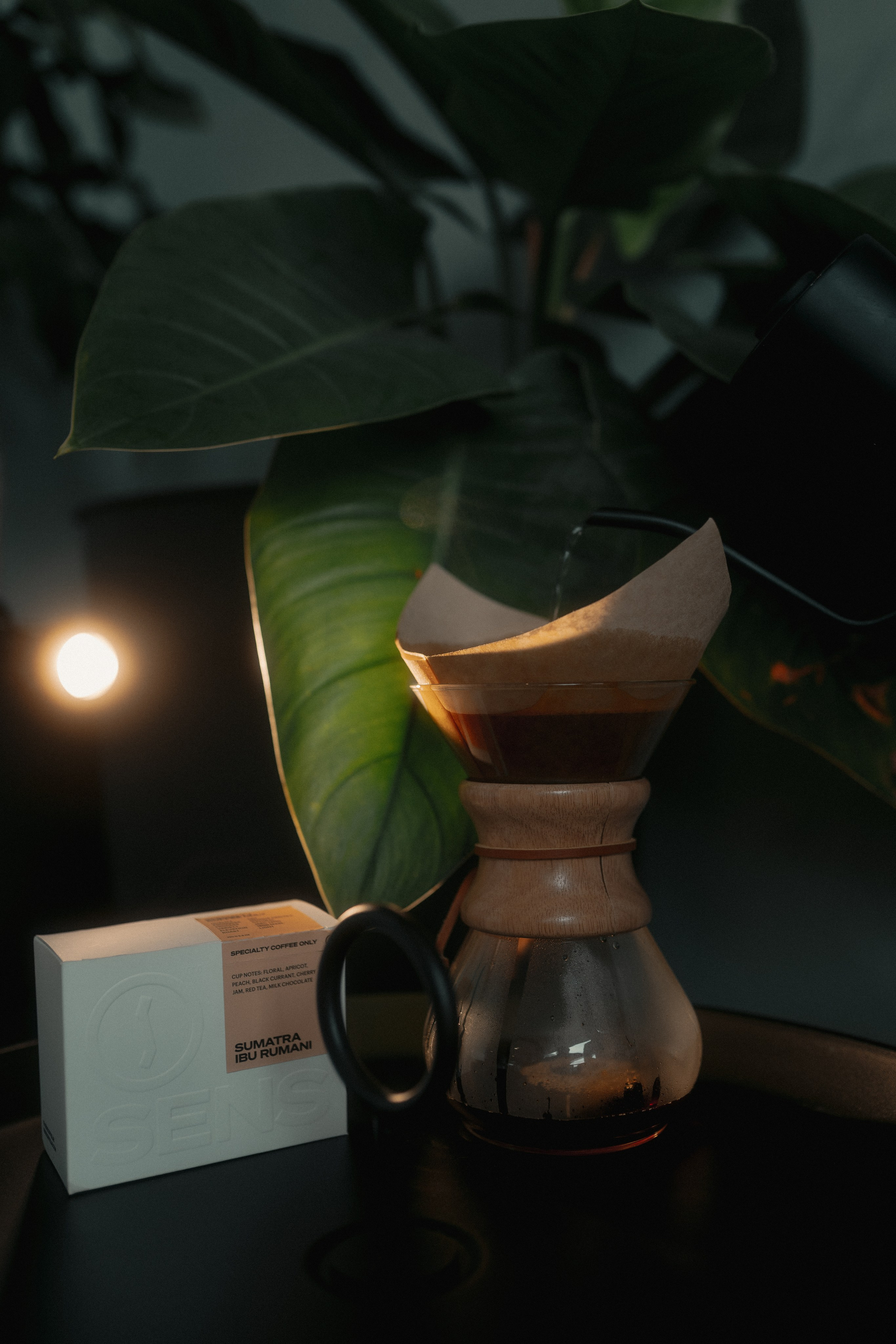 Coffee Brand Content. ФОТОГРАФ ФЛОРИДА МАЙАМИ