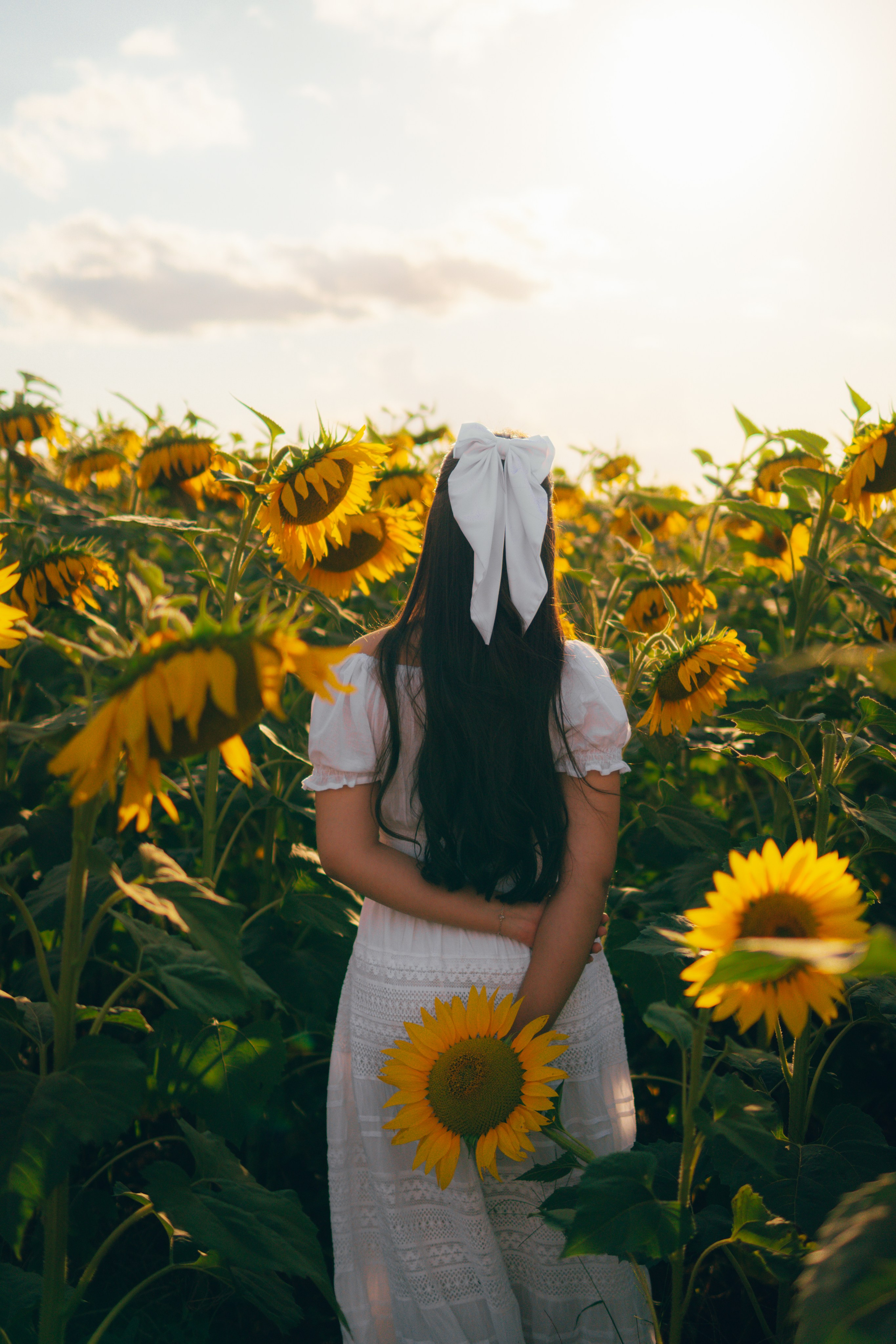 Debutante. Reference Visuals