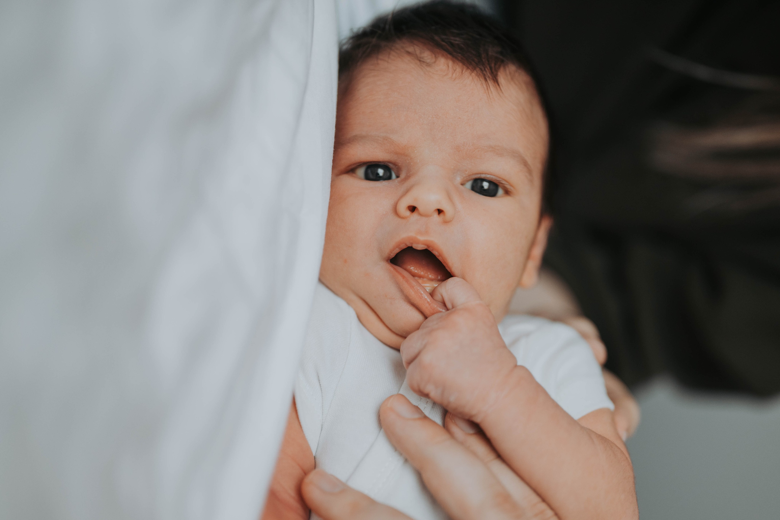 Vuk - fotografisanje bebe kod kuće. Dečiji i porodični fotograf