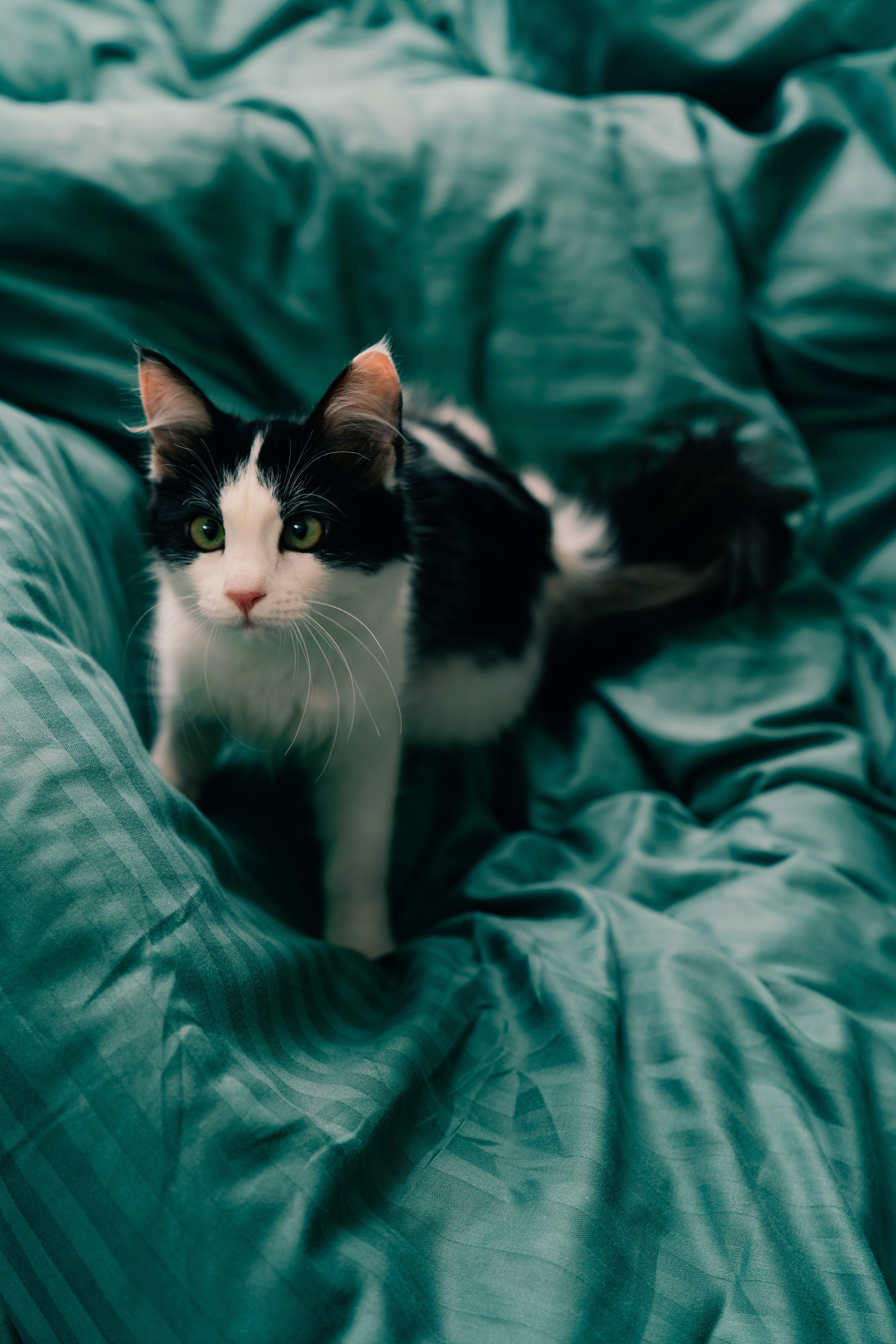 Коммерческая съёмка для текстильной фабрики. Фотограф в Узбекистане и Самарканде Джасур Марупов