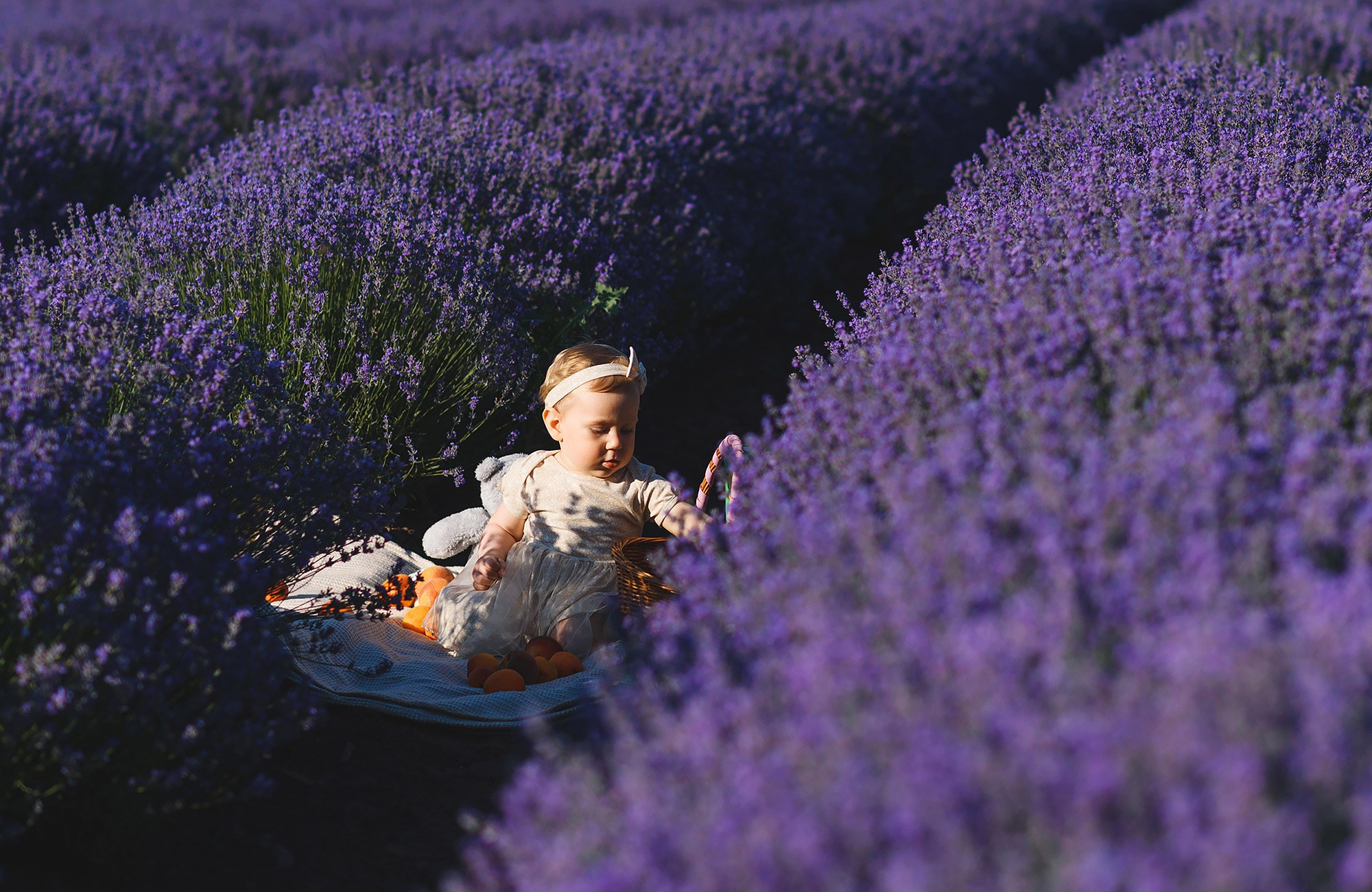 Family photography in lavender field in Moldova — Andrei Zveaghintev. Wedding and family photographer in Moldova, Chisinau— Andrei Zveaghintev