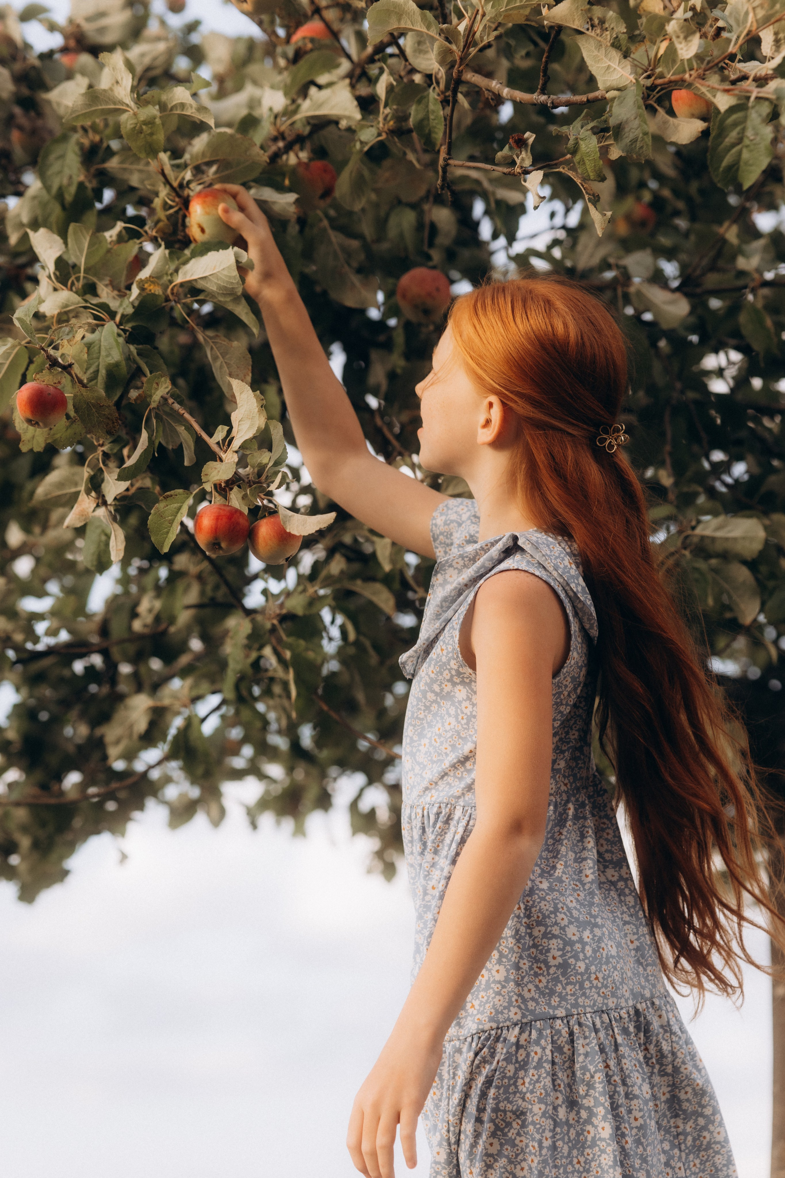 Gesegnet zusammen. Julia Sööt Fotografie