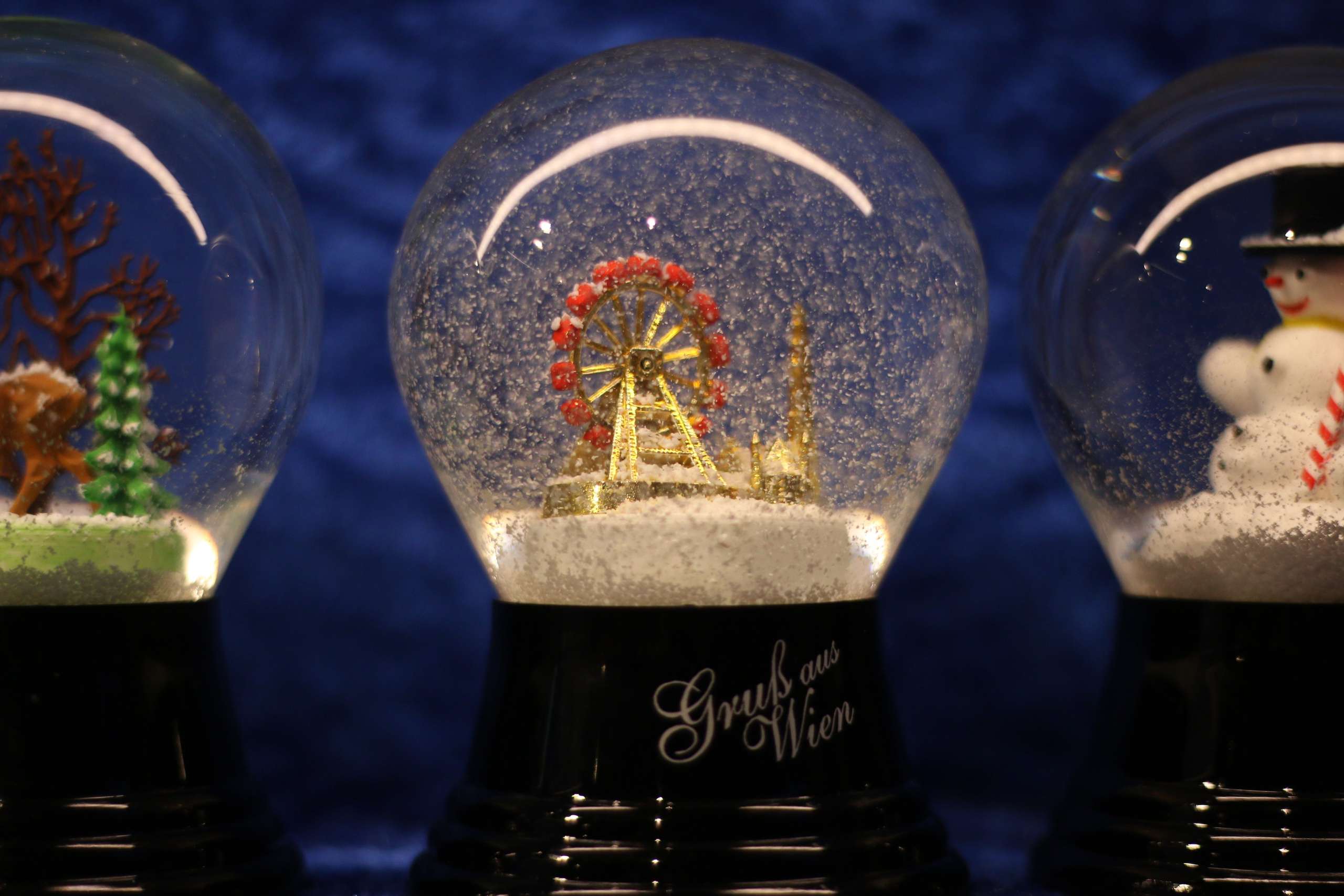 Vienna, Dec.19. Kseny Kolesnik Photography