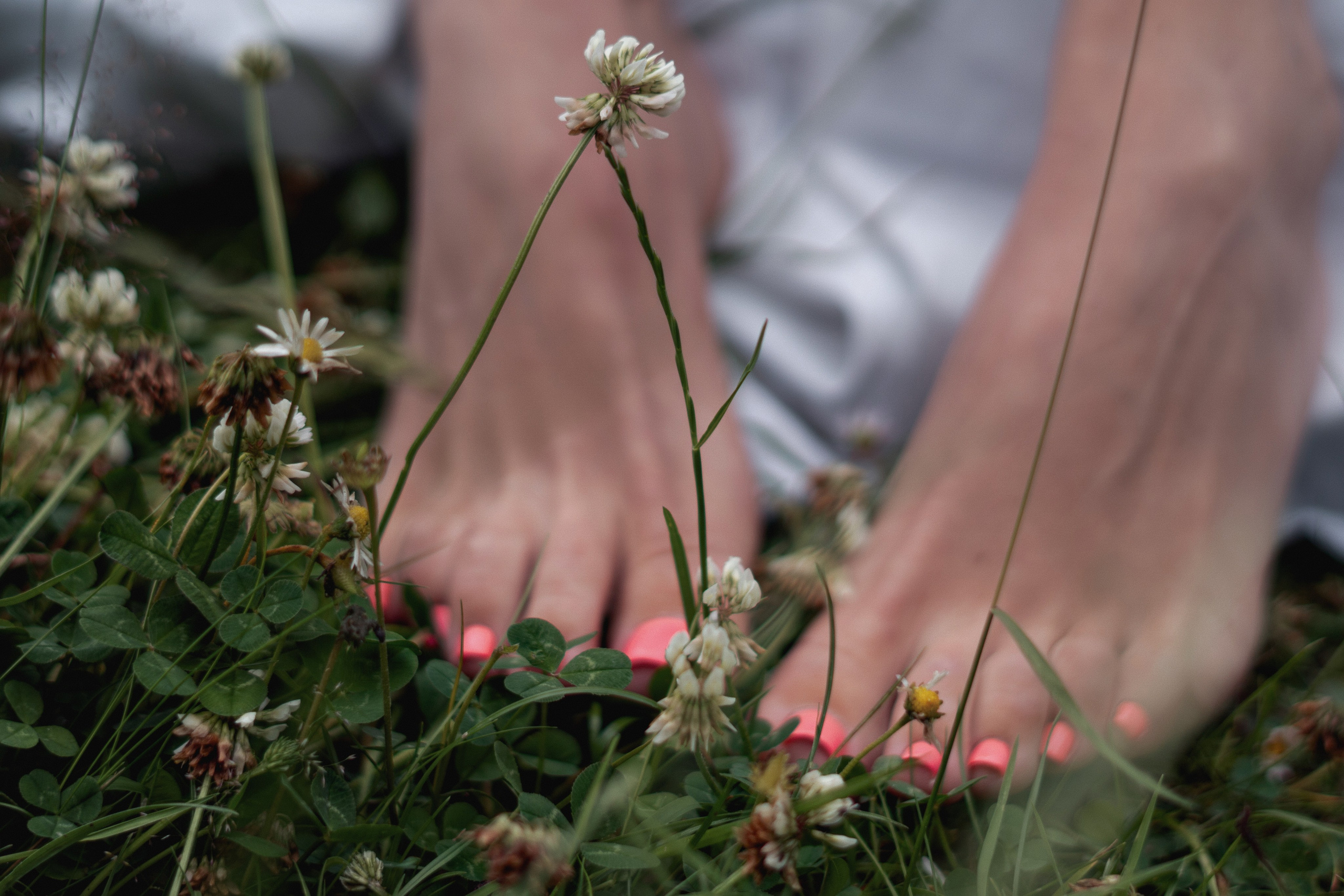 Julia. Family, portrait, and lifestyle photoshoots in Belgium