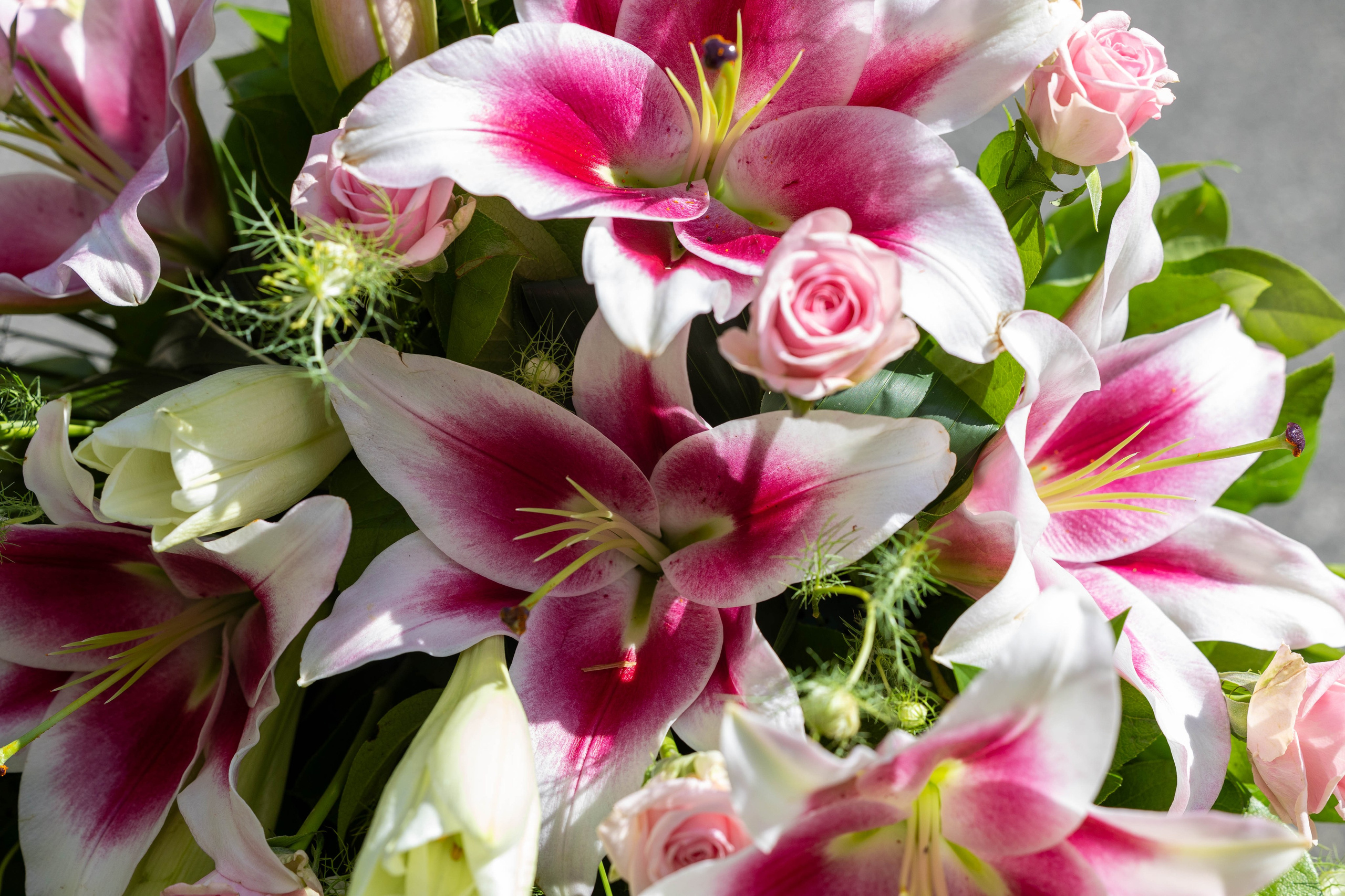 Ær en elsket med en tidløs krans med liljer fra Akropolis Blomster. Liljerne, der symboliserer renhed og ære, skaber en elegant og respektfuld hyldest. Bestil din krans med liljer til begravelse i dag, og få den leveret i Aarhus og omegn.