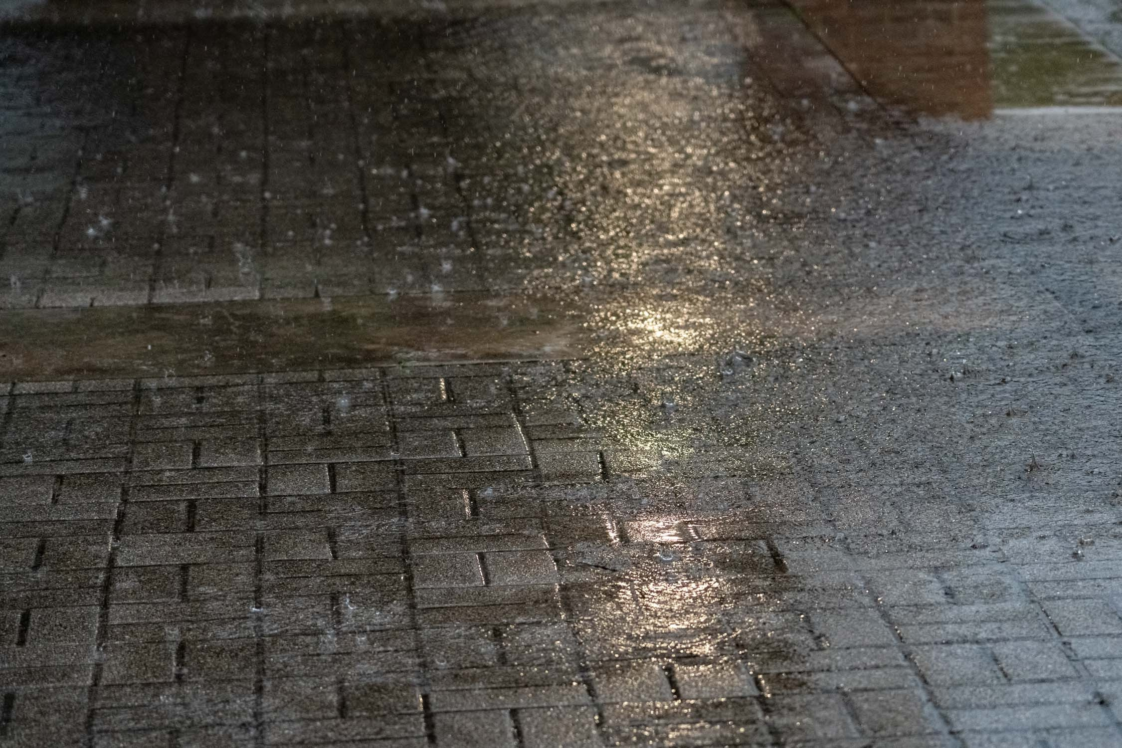 Easter picnic. Photographer Irina Kozhemyakina. Houston