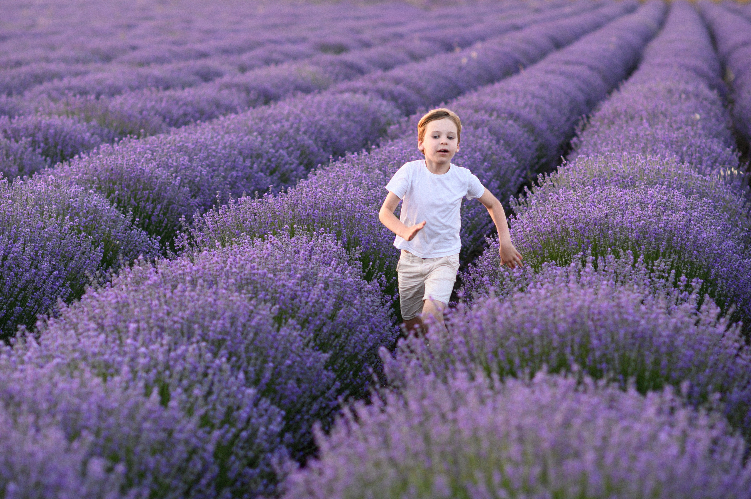 Lavender Field. Семейная, детская, портретная и предметная фотосъемка в Салониках
