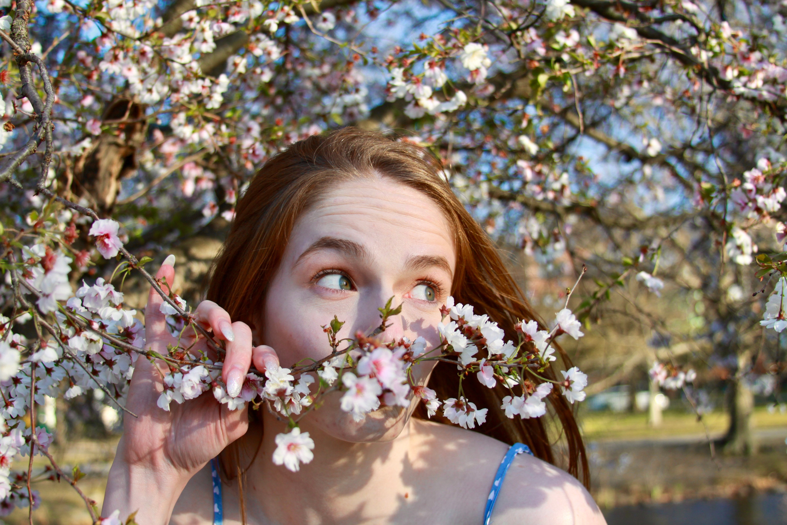 Cherry blossom mini shoot with Rach. Kelly Sang, graduation and portrait photographer in Boston