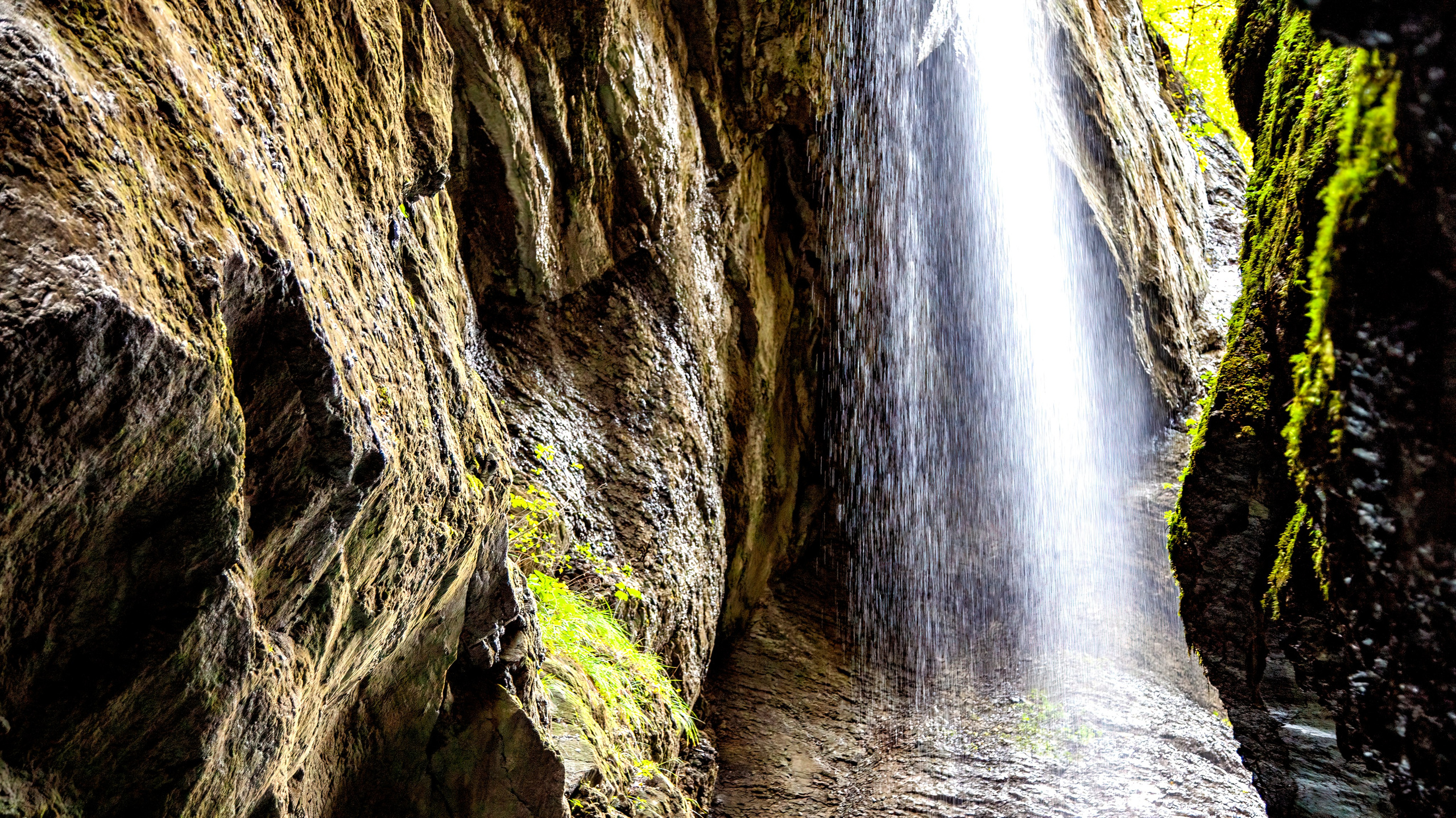 188.Partnachklamm Gorge.26.9.2024. Путешествия в формате 360......