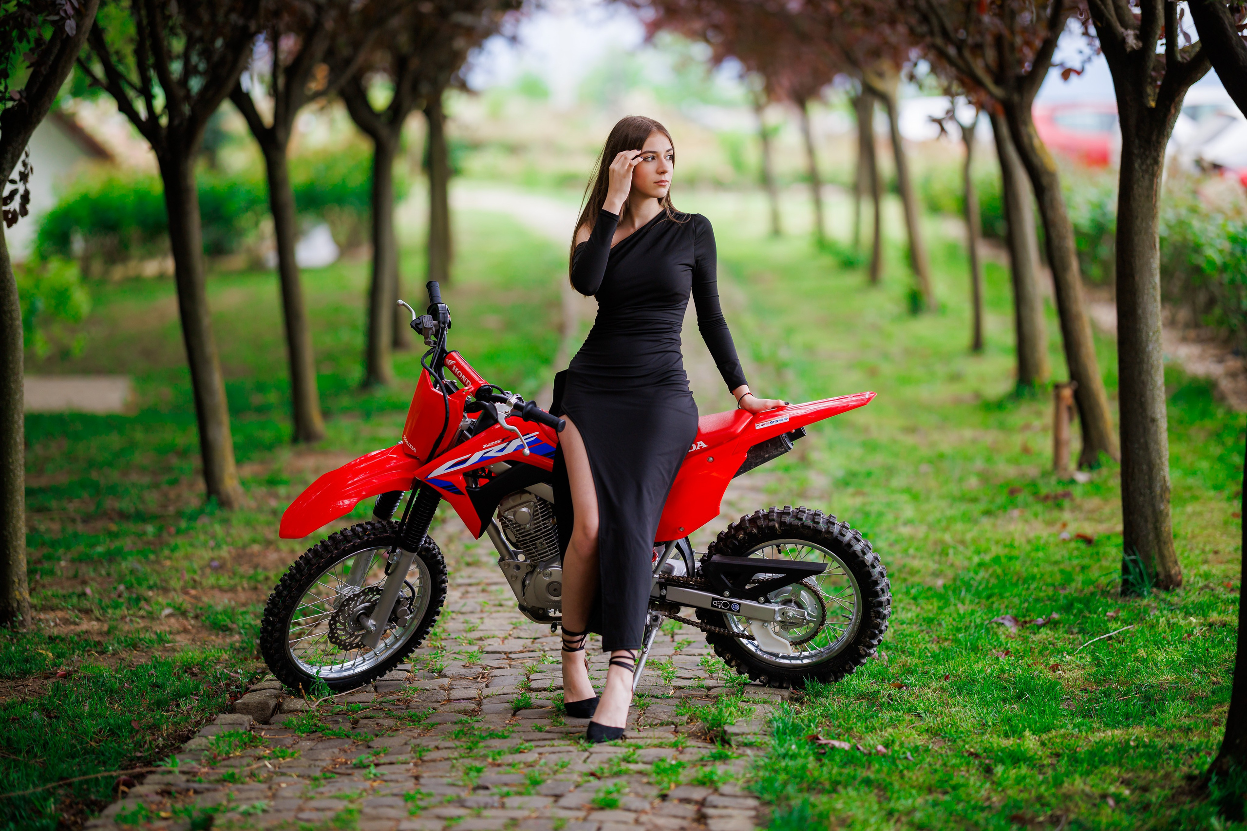 Clasa 8-a. Trendy Albums