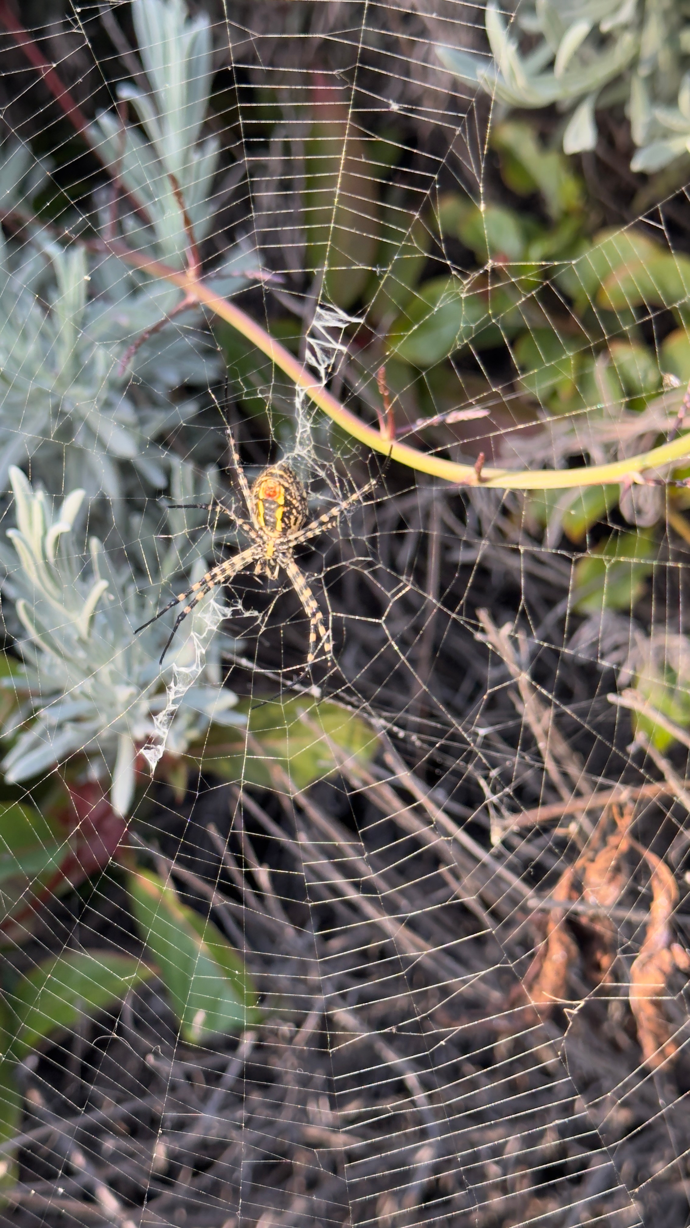 Everything from everything