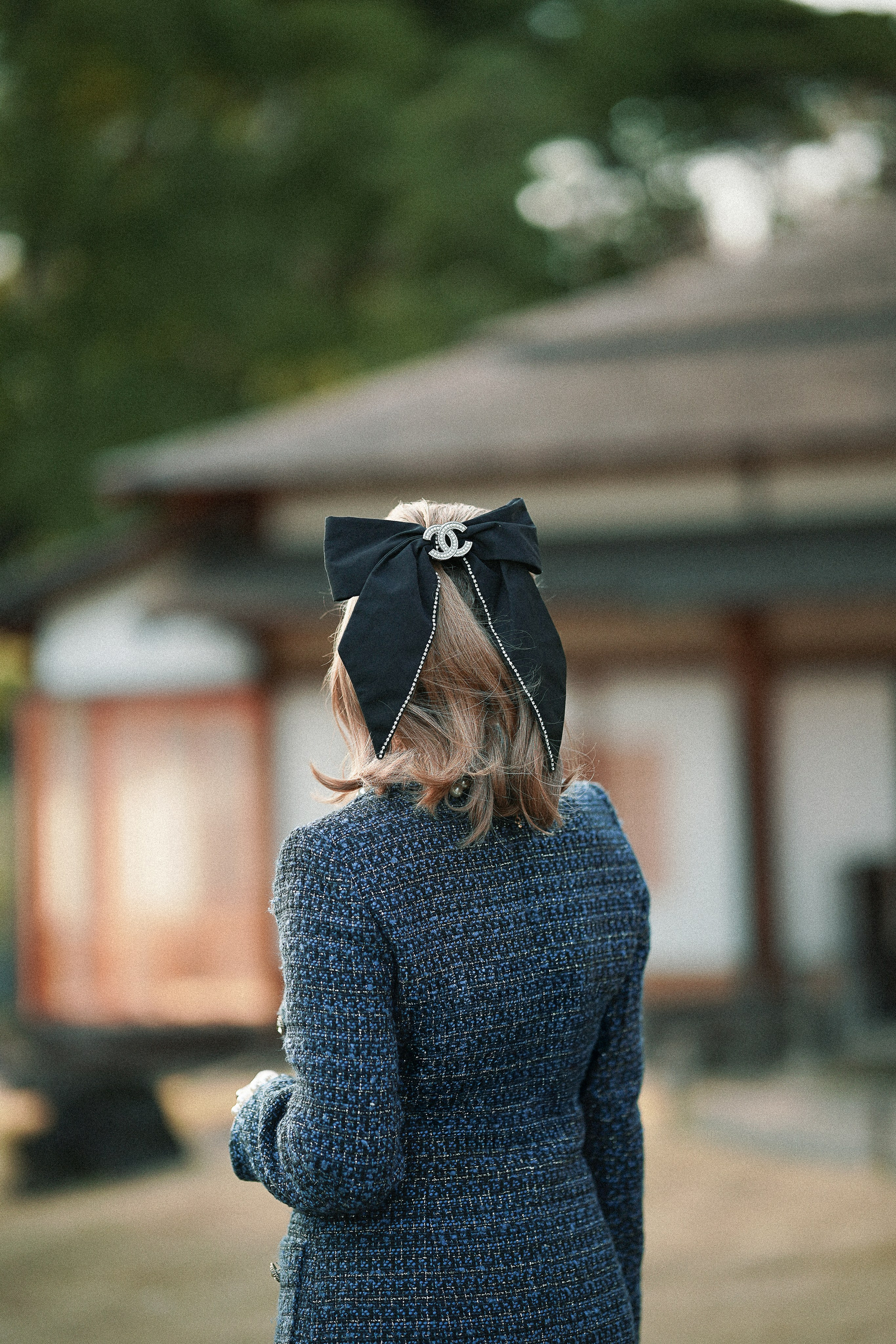 Японский сад. Фотограф в Токио Япония